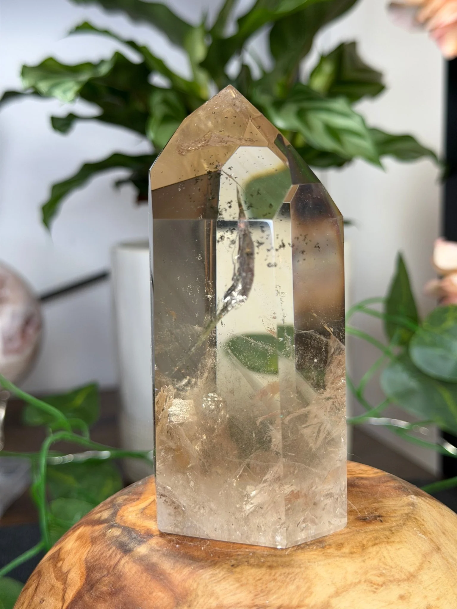 High Quality Natural Brazilian Champagne Citrine with Phanthon | 360g