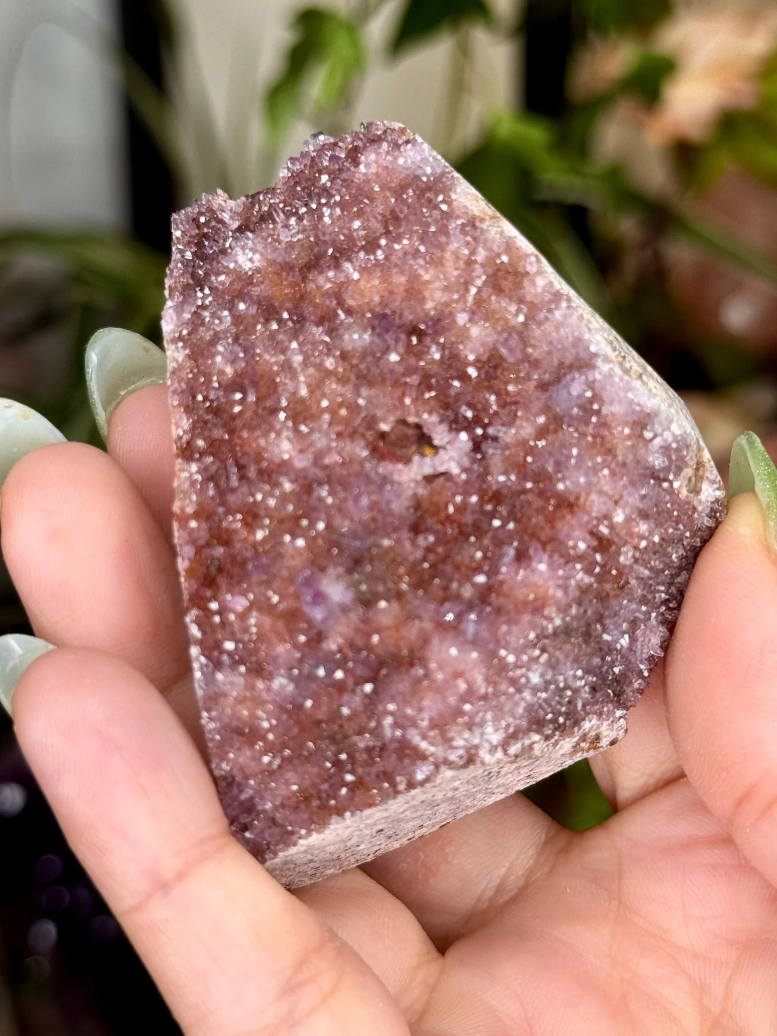 Alacam Amethyst Cluster | 100g