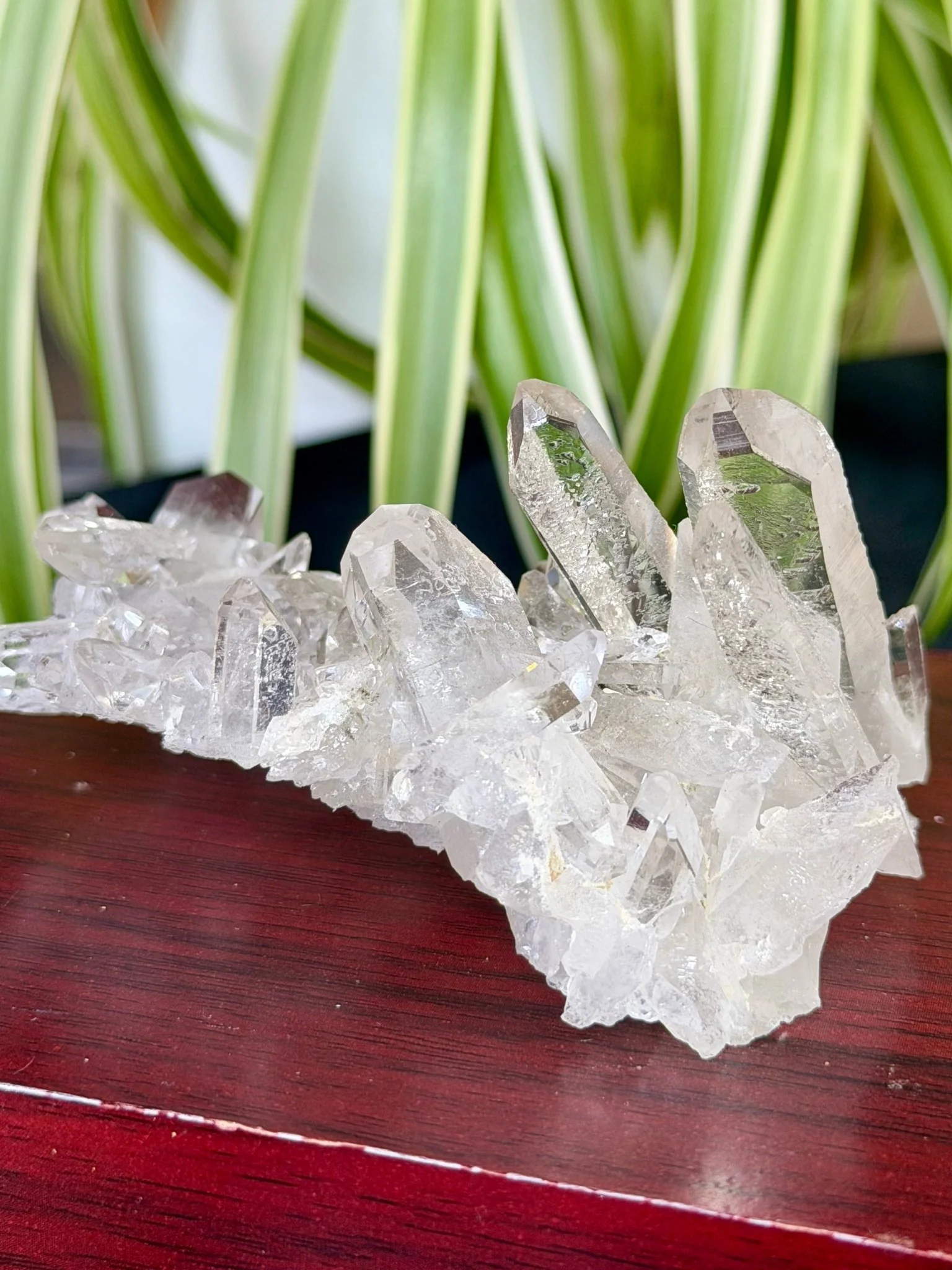 High Quality Clear Quartz Cluster |106g