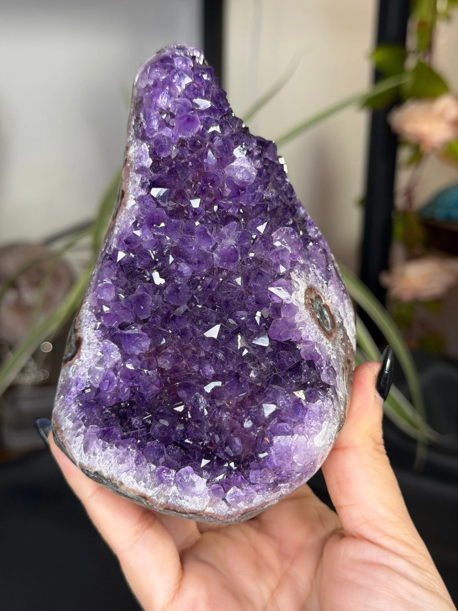 High Quality Amethyst | 704g