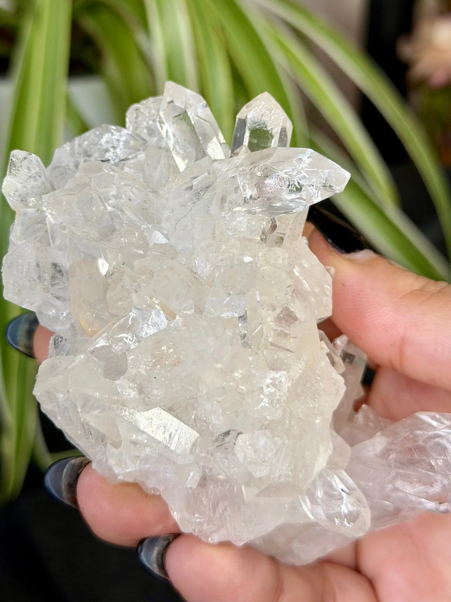 Clear Quartz Cluster |196g