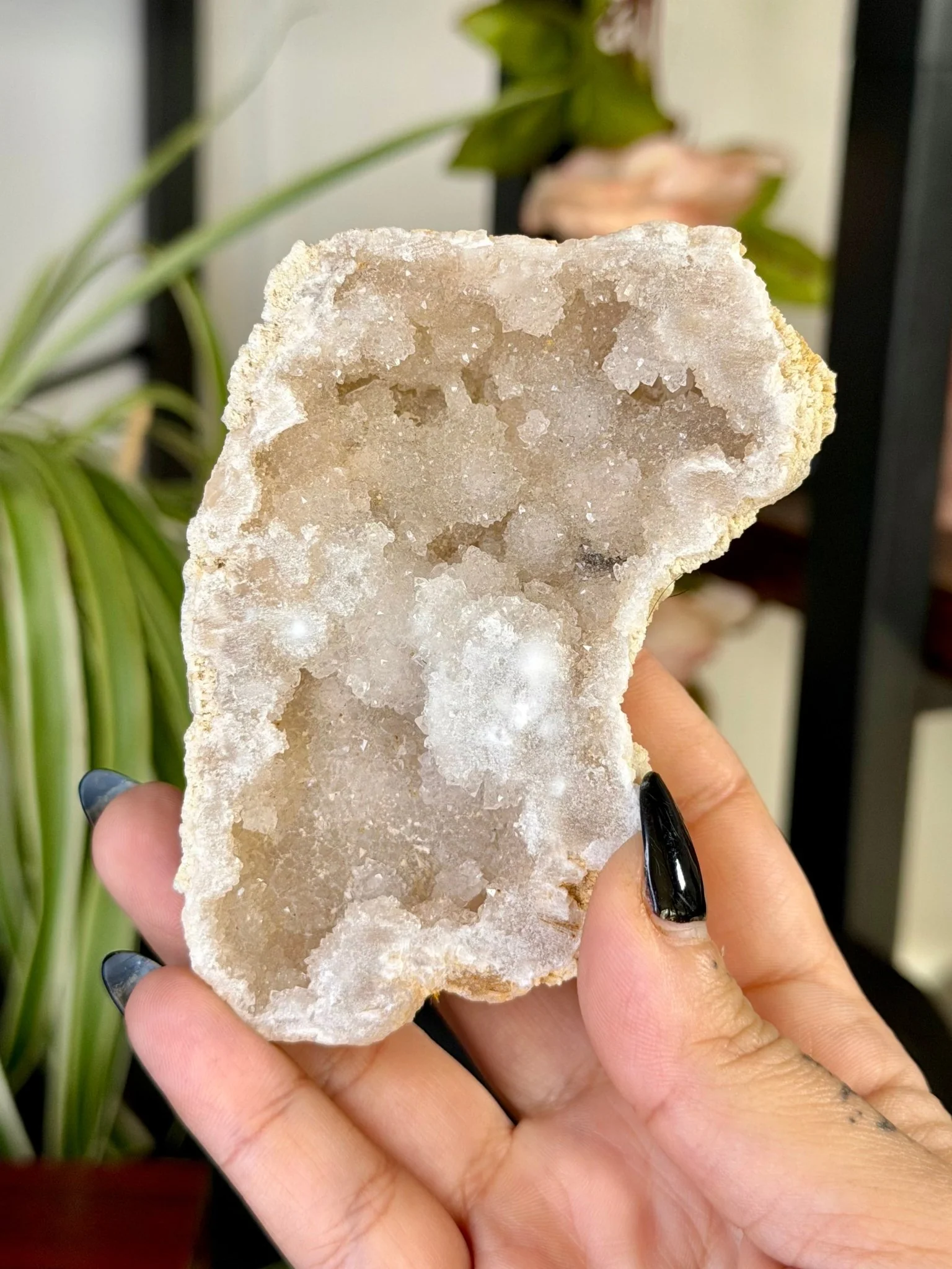 Quartz Geode | 144g