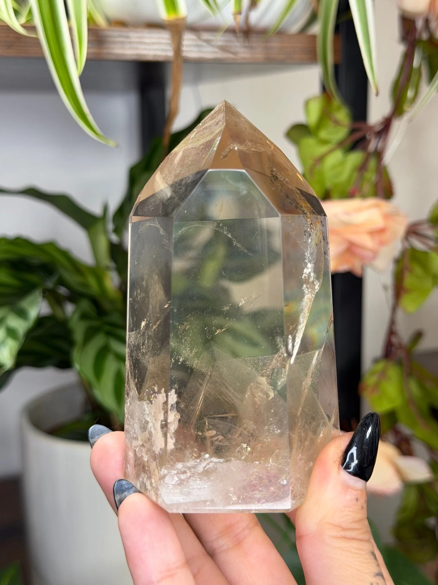 High Quality Natural Brazilian Champagne Citrine with Phanthon | 360g