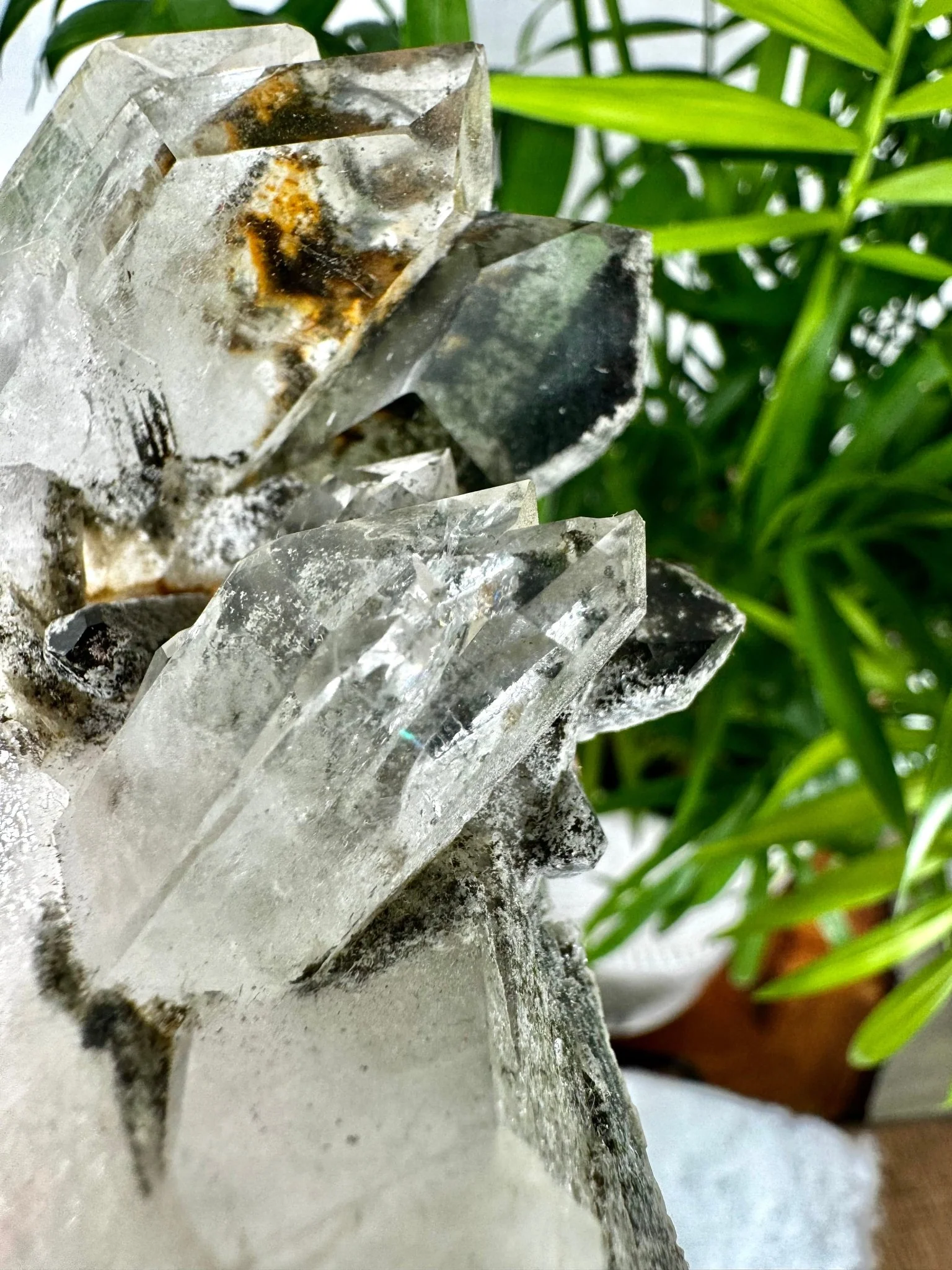 Unique Black Lodolite Cluster | 163g