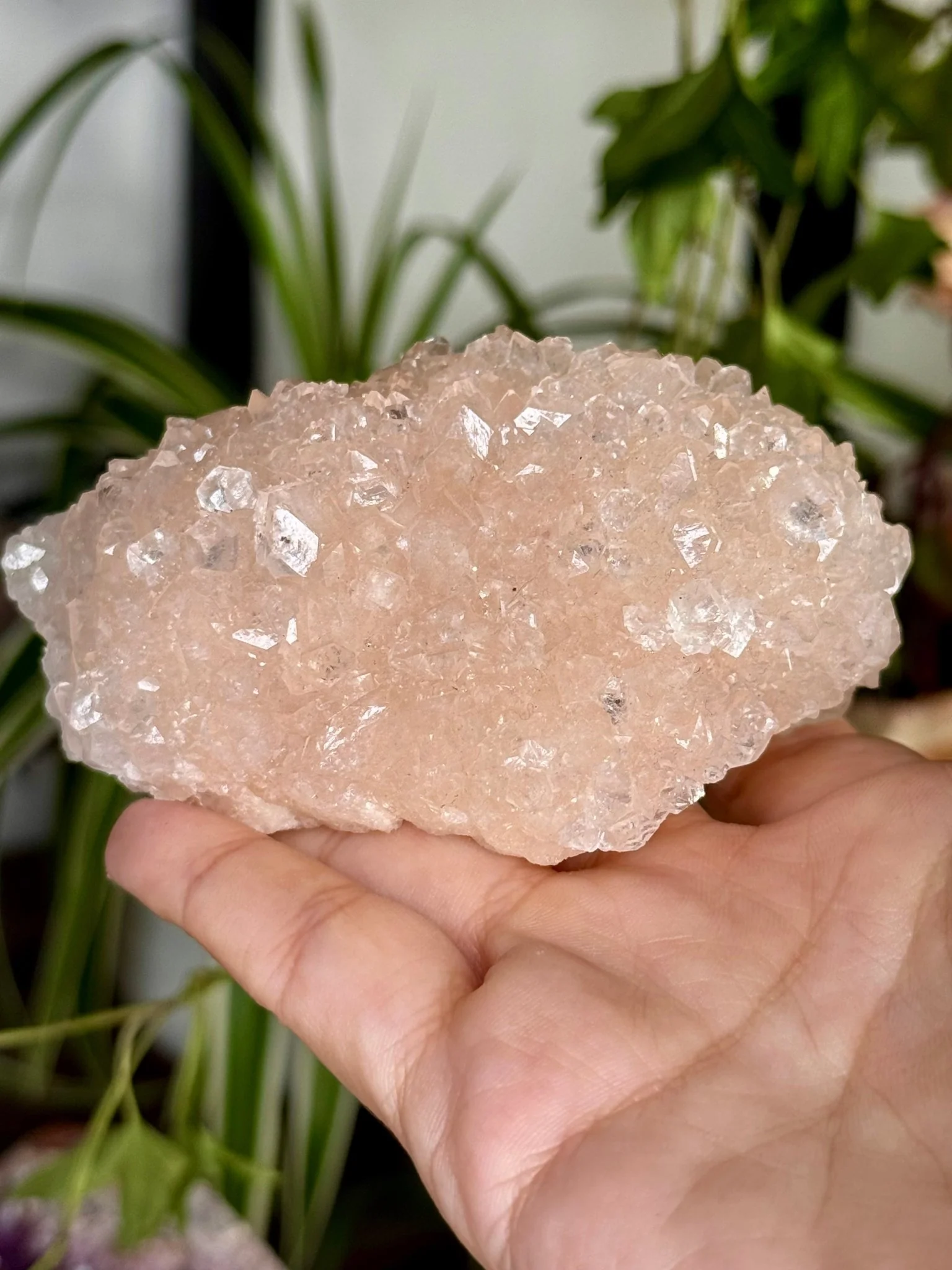Pink Apophyllite Cluster | 129g