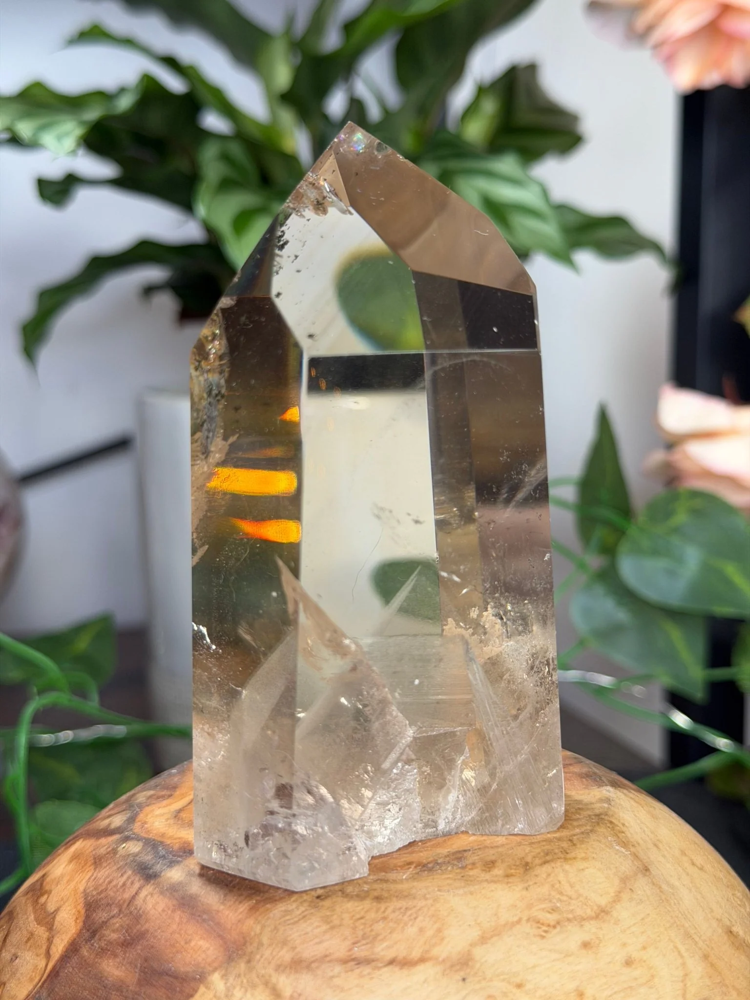 High Quality Natural Brazilian Champagne Citrine with Phanthon | 360g