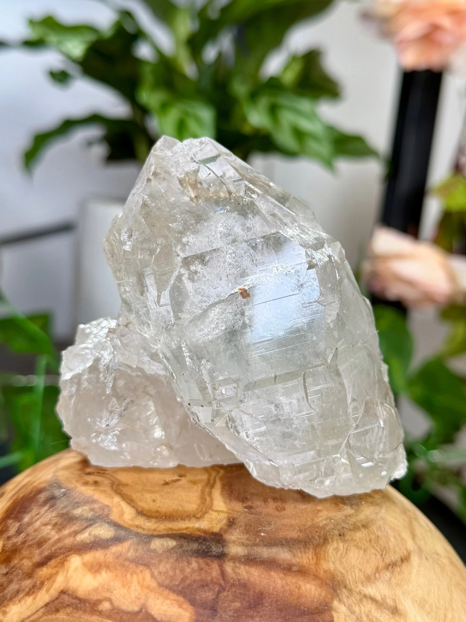 High Quality Himalayan Quartz with Chlorite | 292g