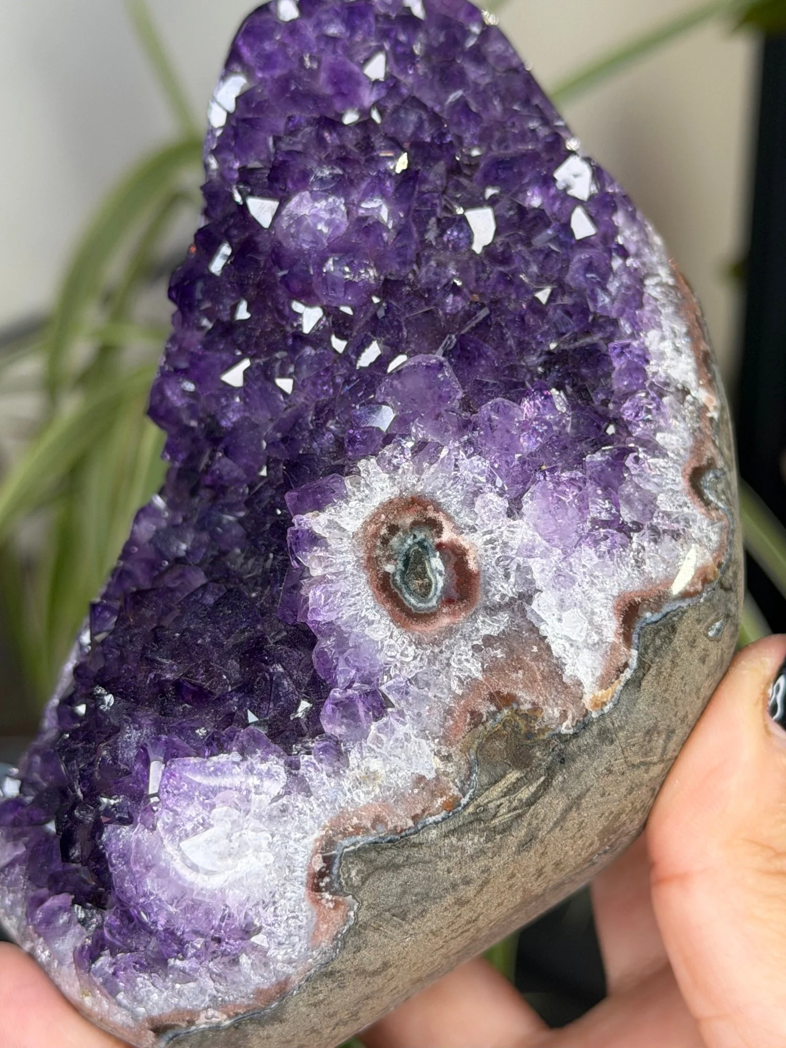 High Quality Amethyst | 704g