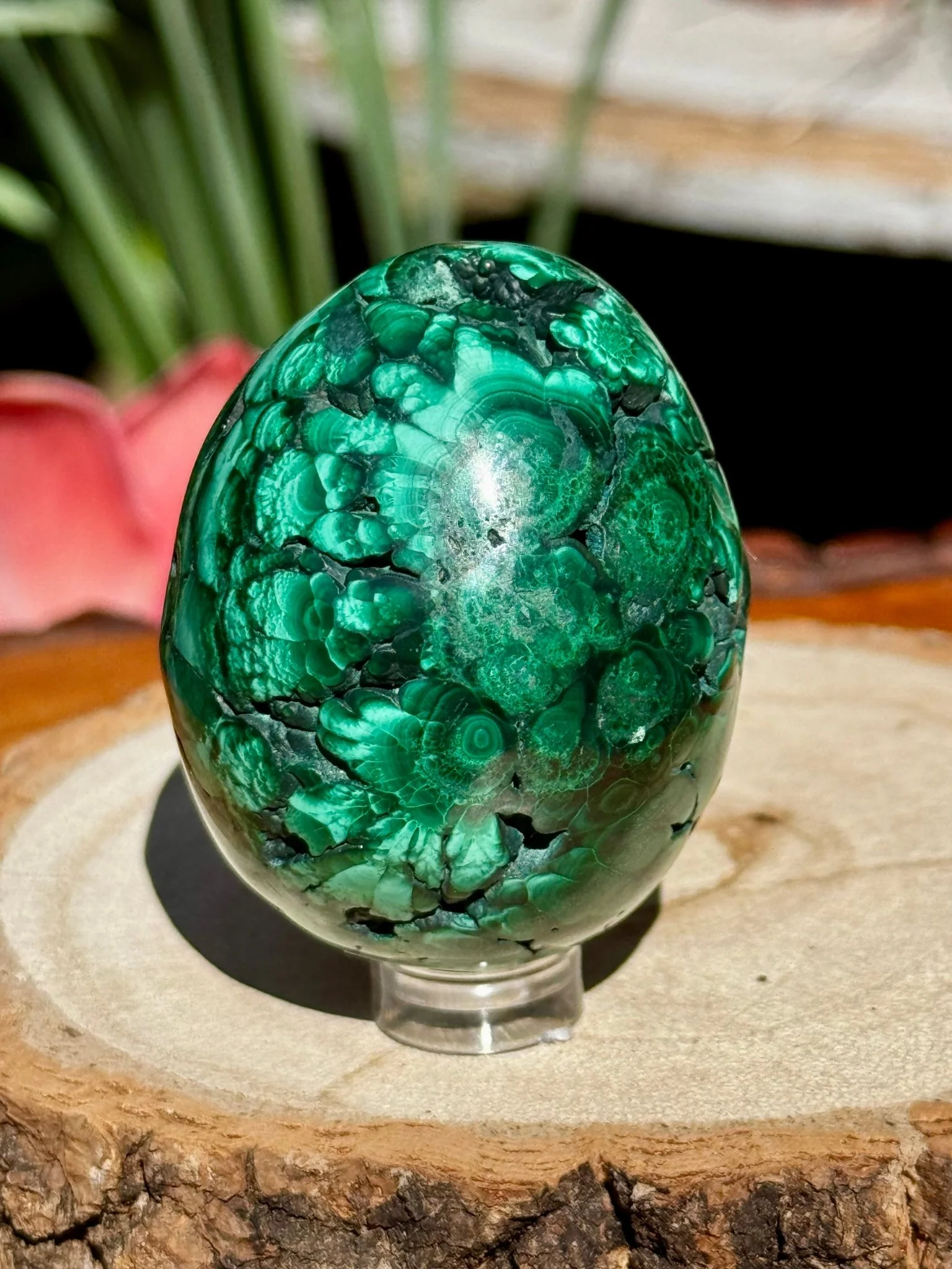 Malachite egg | 178g
