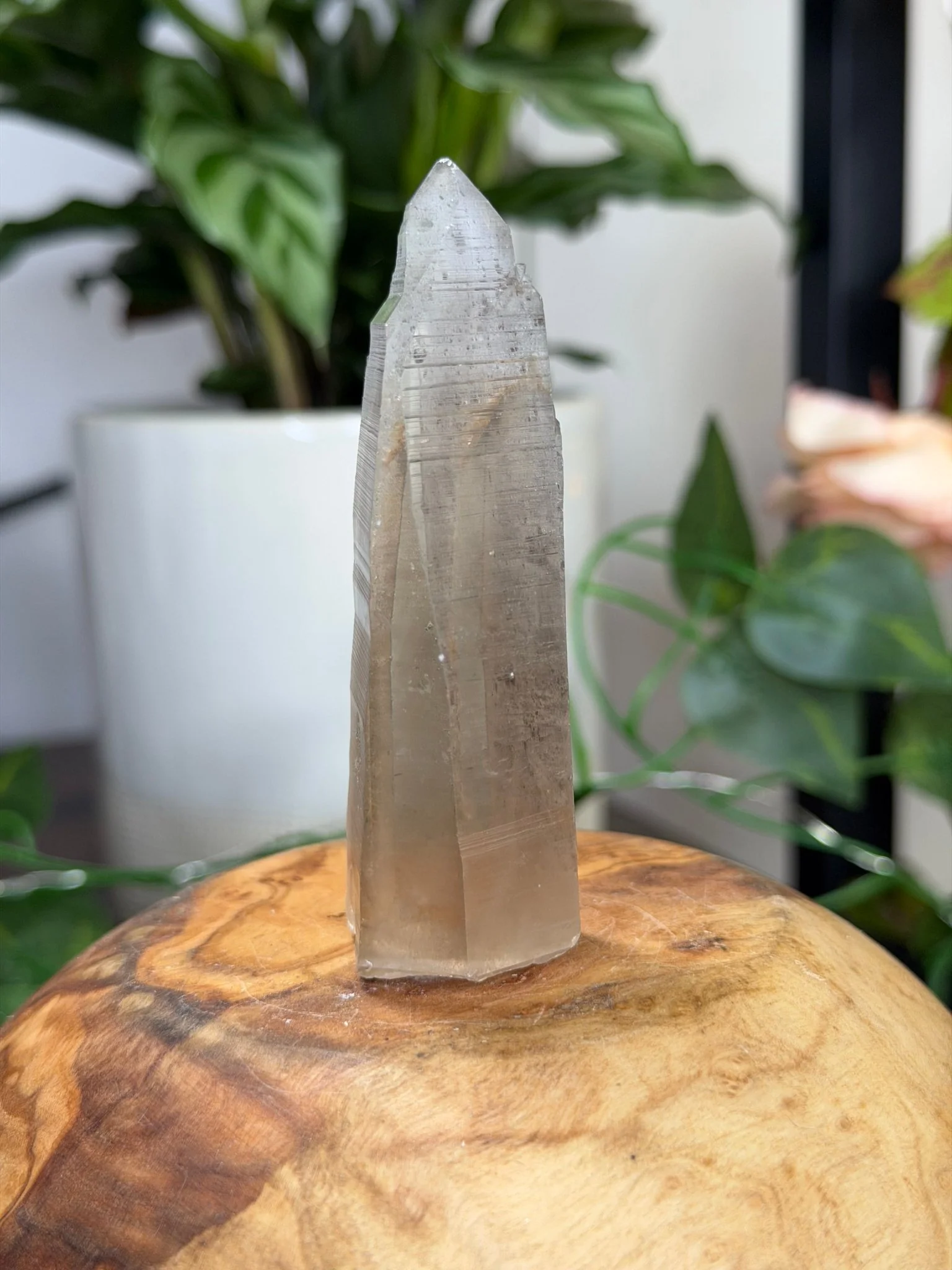Smokey Serra do Cabral Cathedral Lemurian quartz | 68g