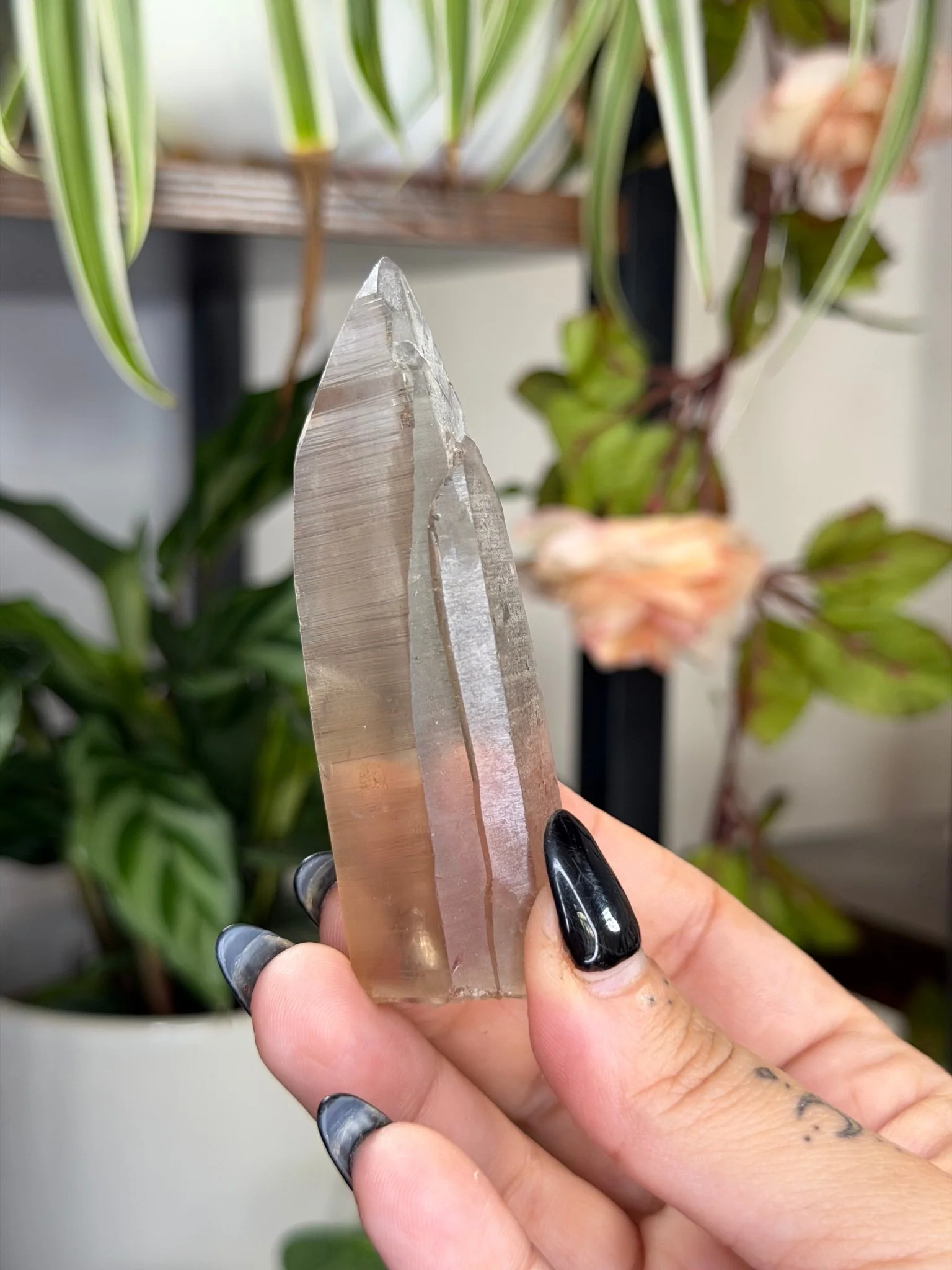 Smokey Serra do Cabral Cathedral Lemurian quartz | 68g