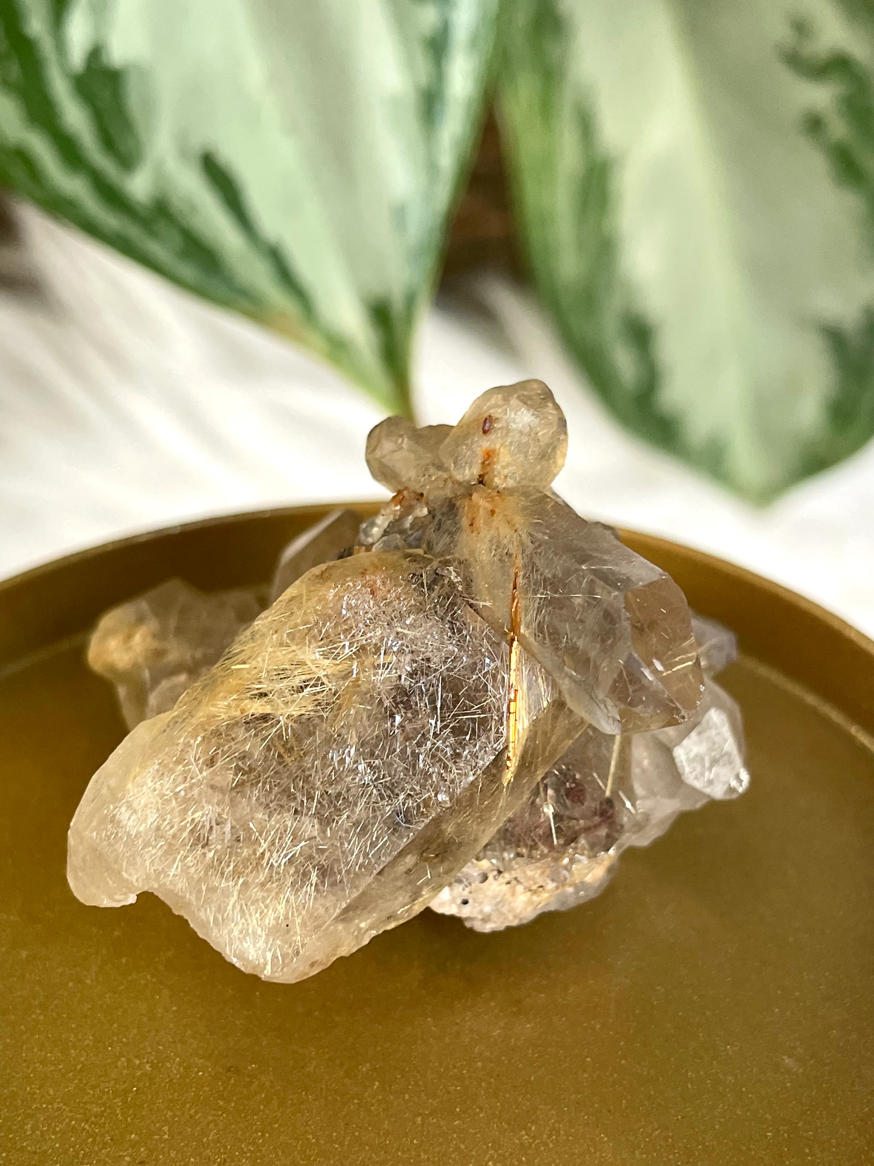 Natural Golden Rutile Cluster | 37g