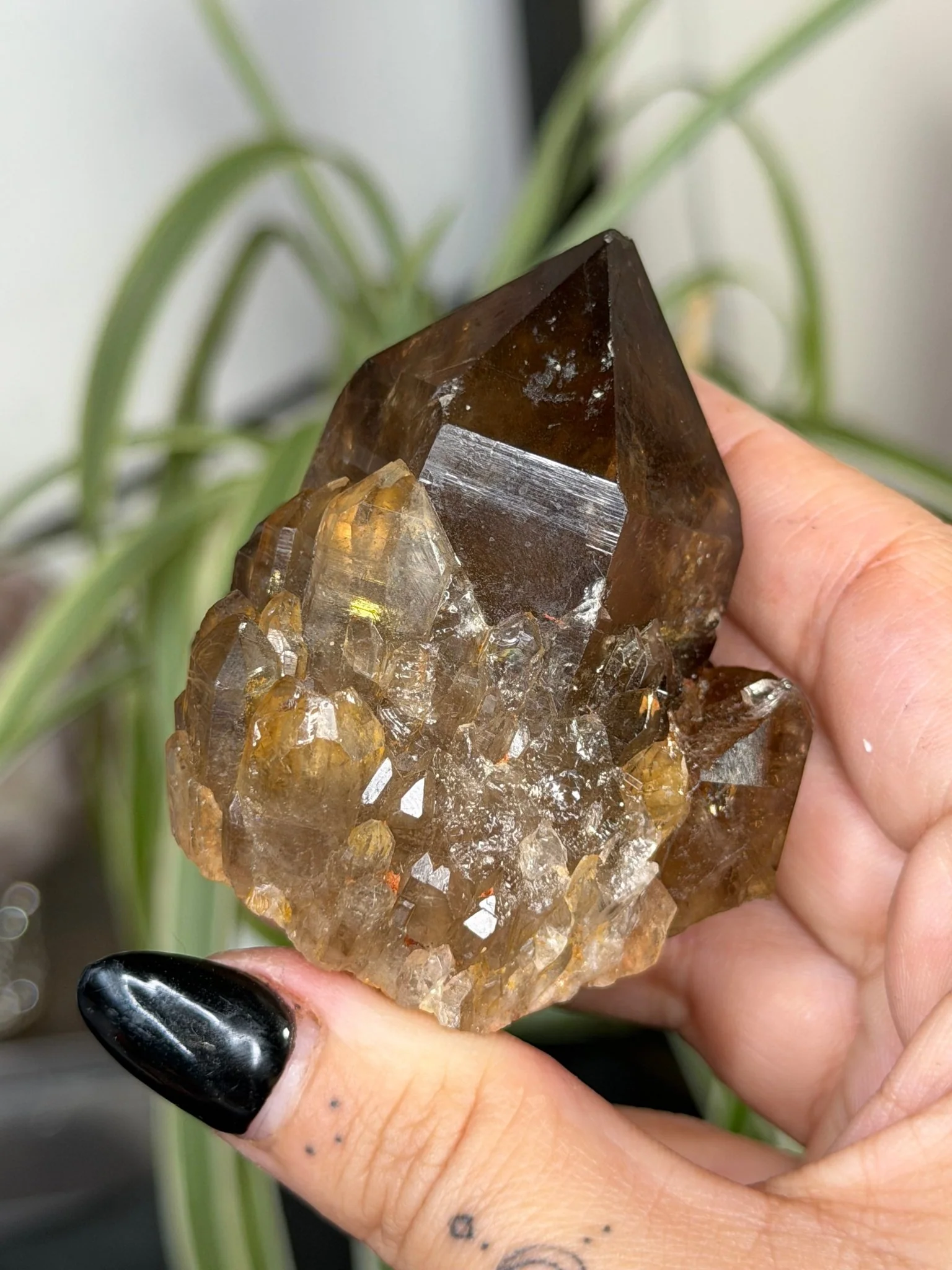 Natural Congo ('Kundalini) Citrine | 129g
