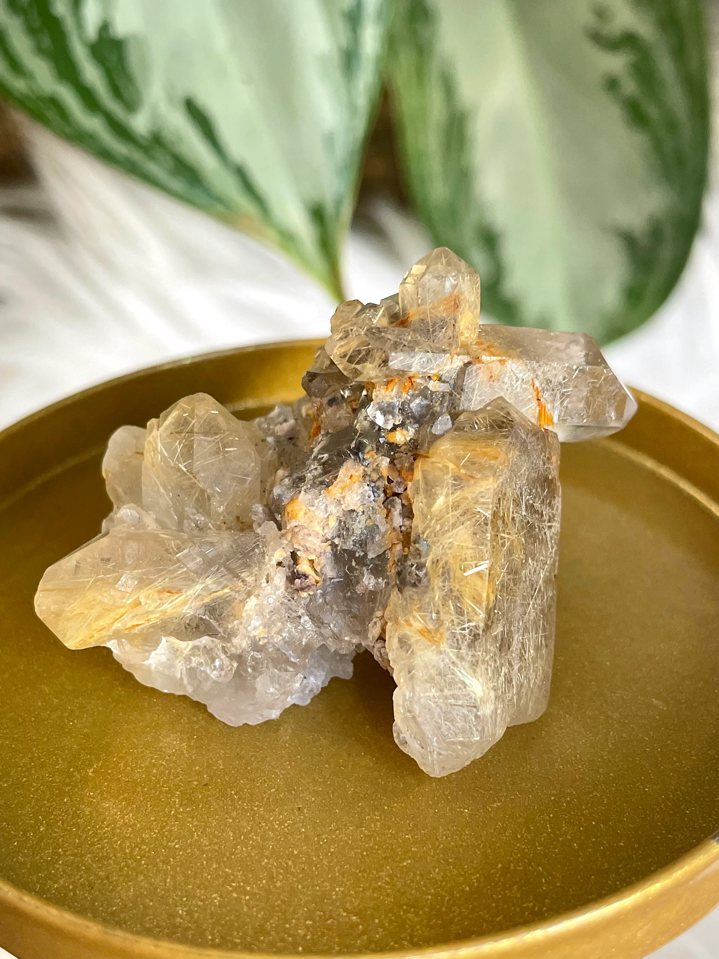 Natural Golden Rutile Cluster | 37g