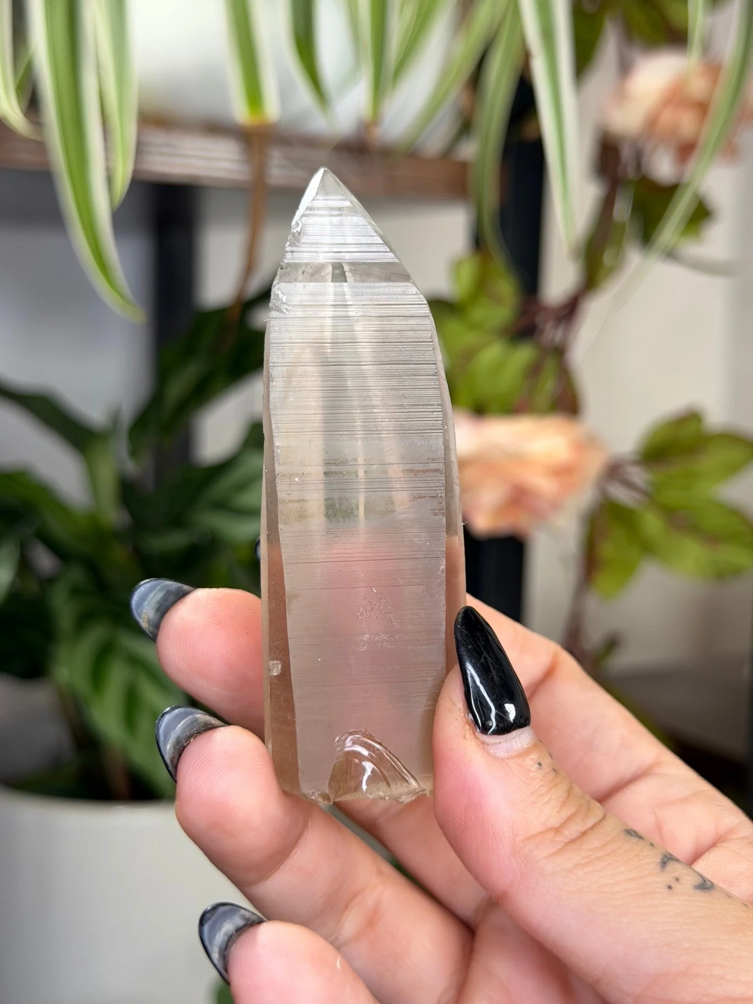 Smokey Serra do Cabral Cathedral Lemurian quartz | 68g