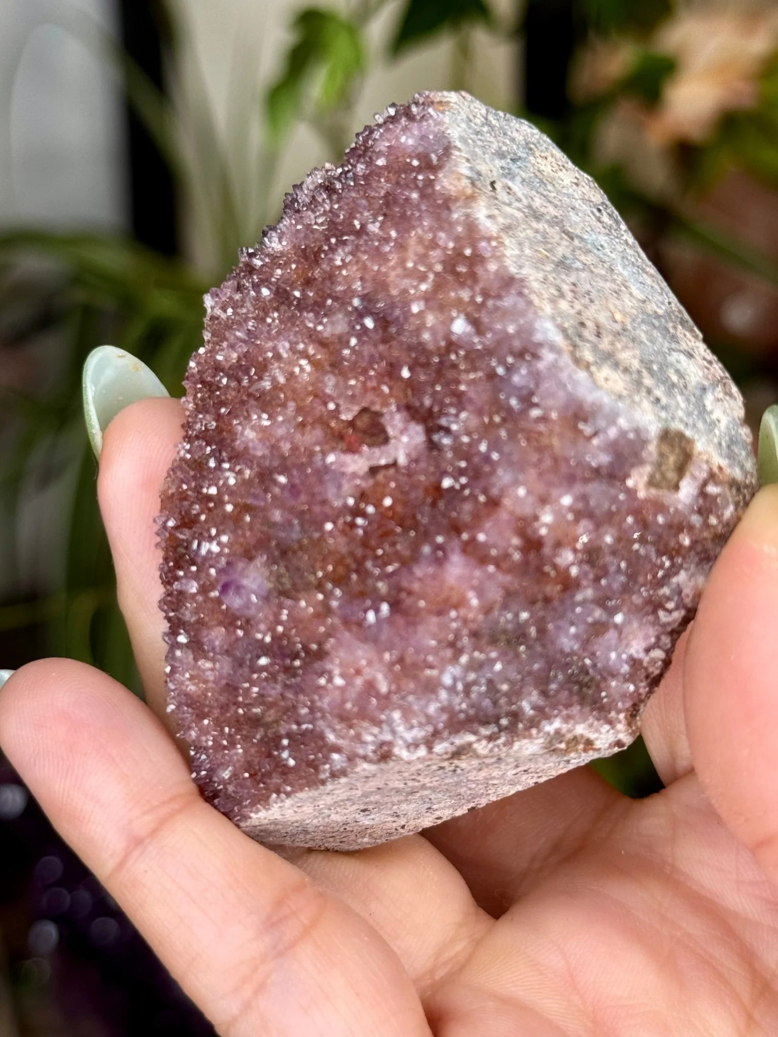 Alacam Amethyst Cluster | 100g