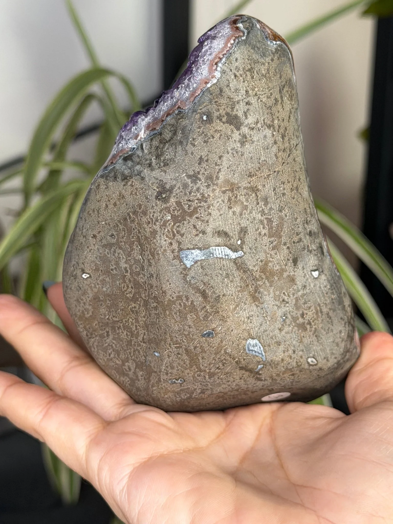 High Quality Amethyst | 704g