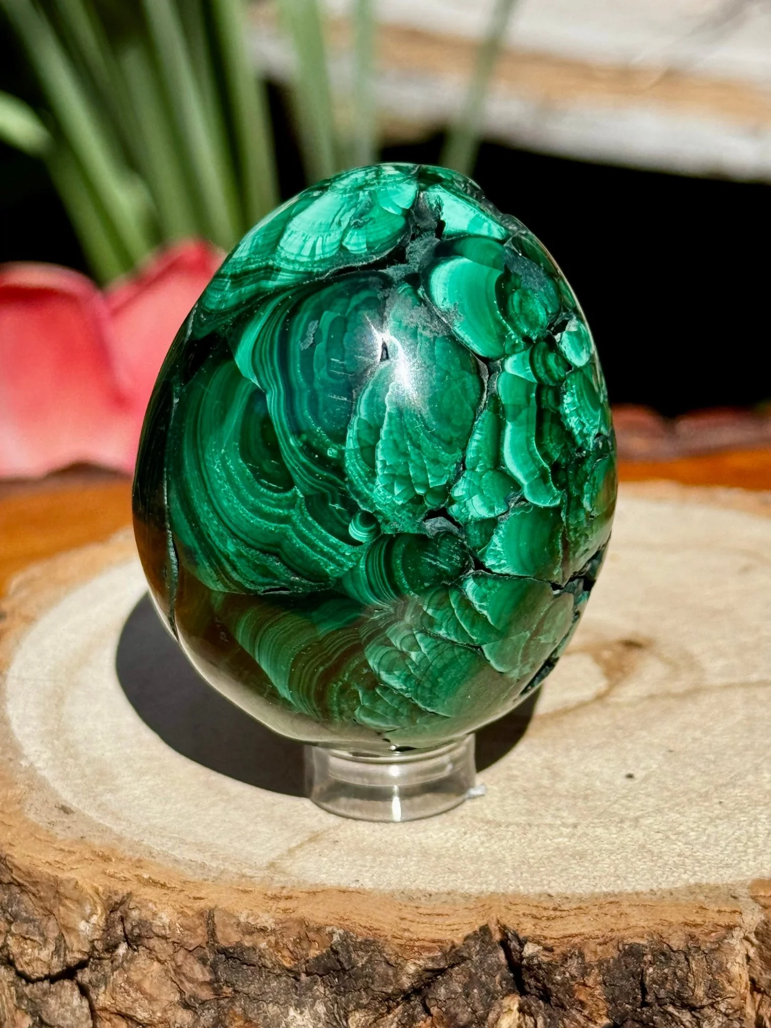 Malachite egg | 178g