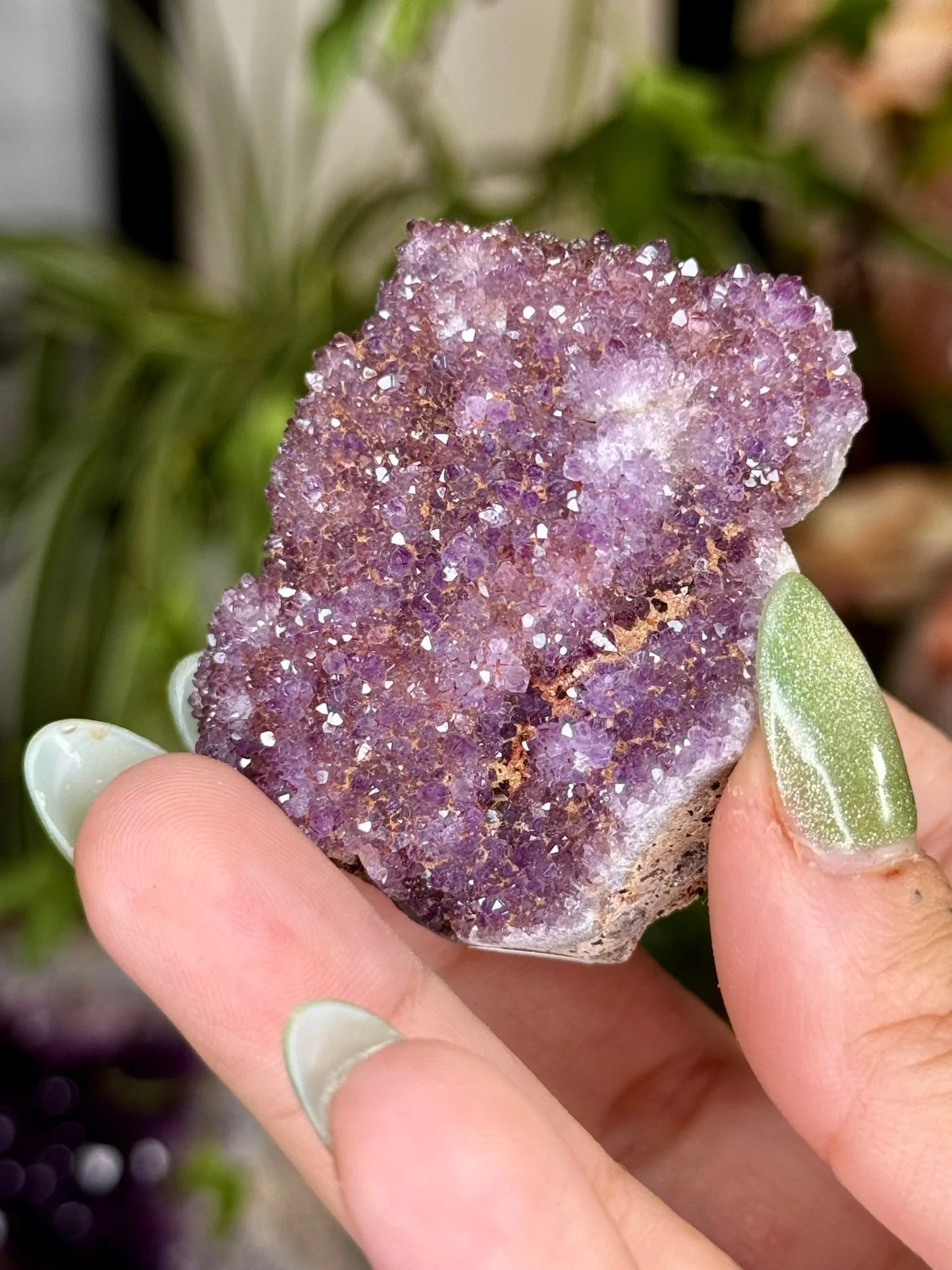 Alacam Amethyst Cluster | 50g