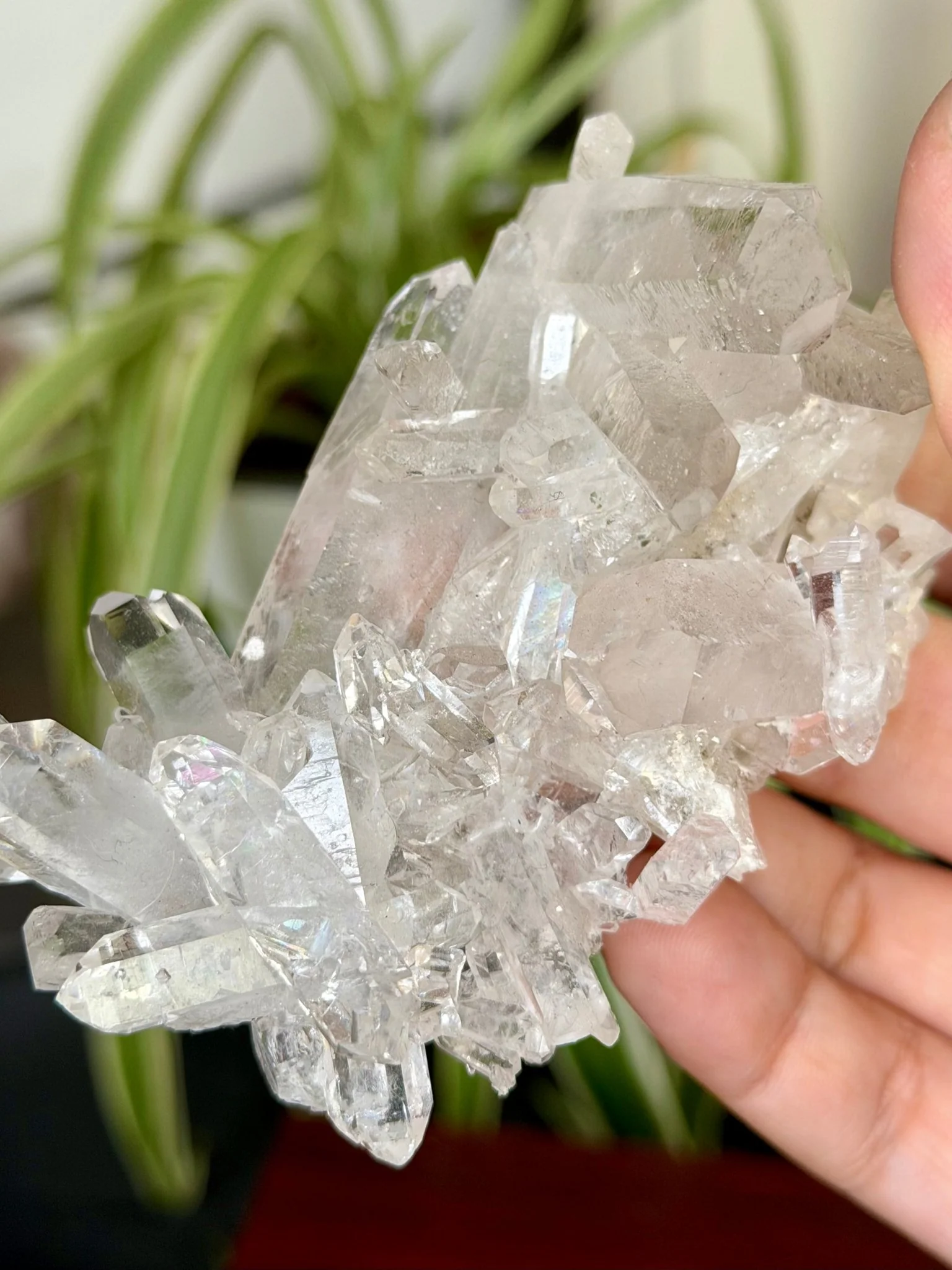 High Quality Clear Quartz Cluster |106g