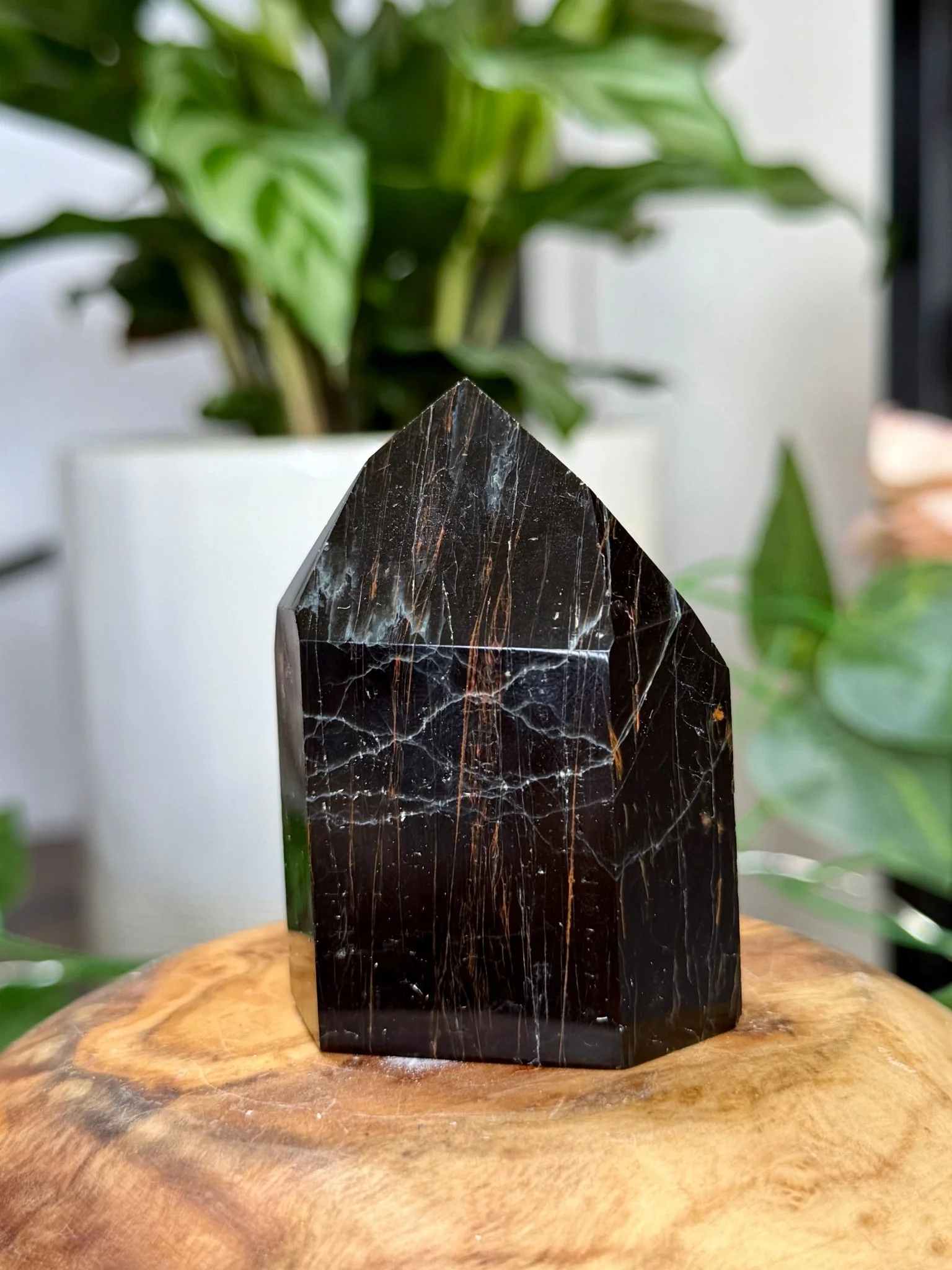 Black Tourmaline Tower with Hematite | 79g