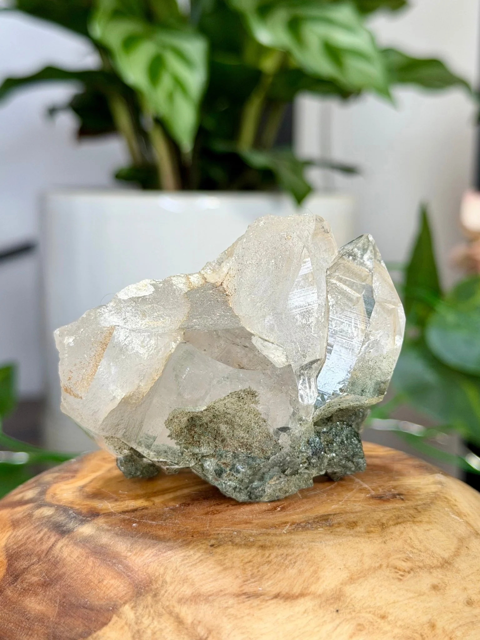 High Quality Himalayan Quartz with Chlorite  | 135g