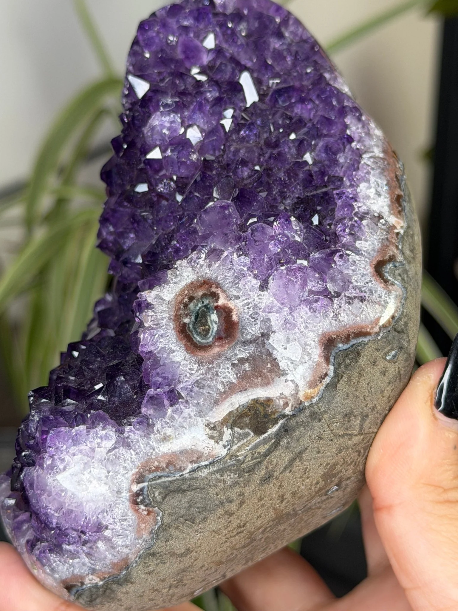 High Quality Amethyst | 704g