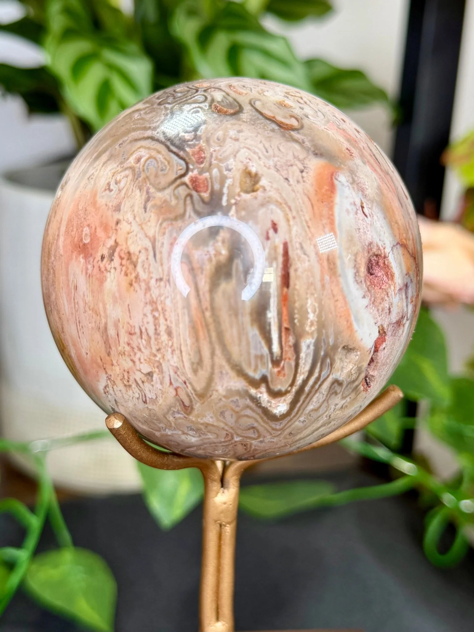 Petrified Wood Sphere | 478g