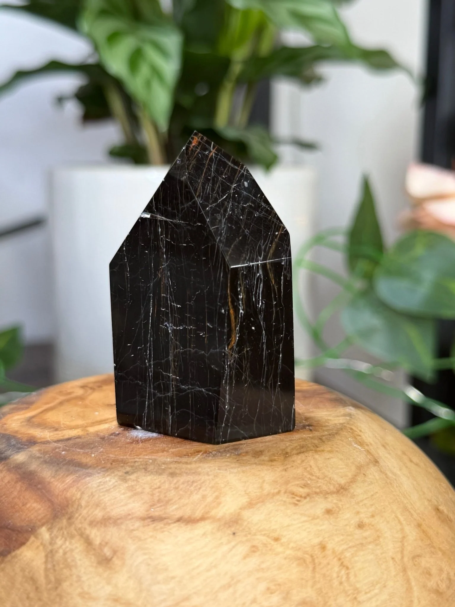 Black Tourmaline Tower with Hematite | 79g