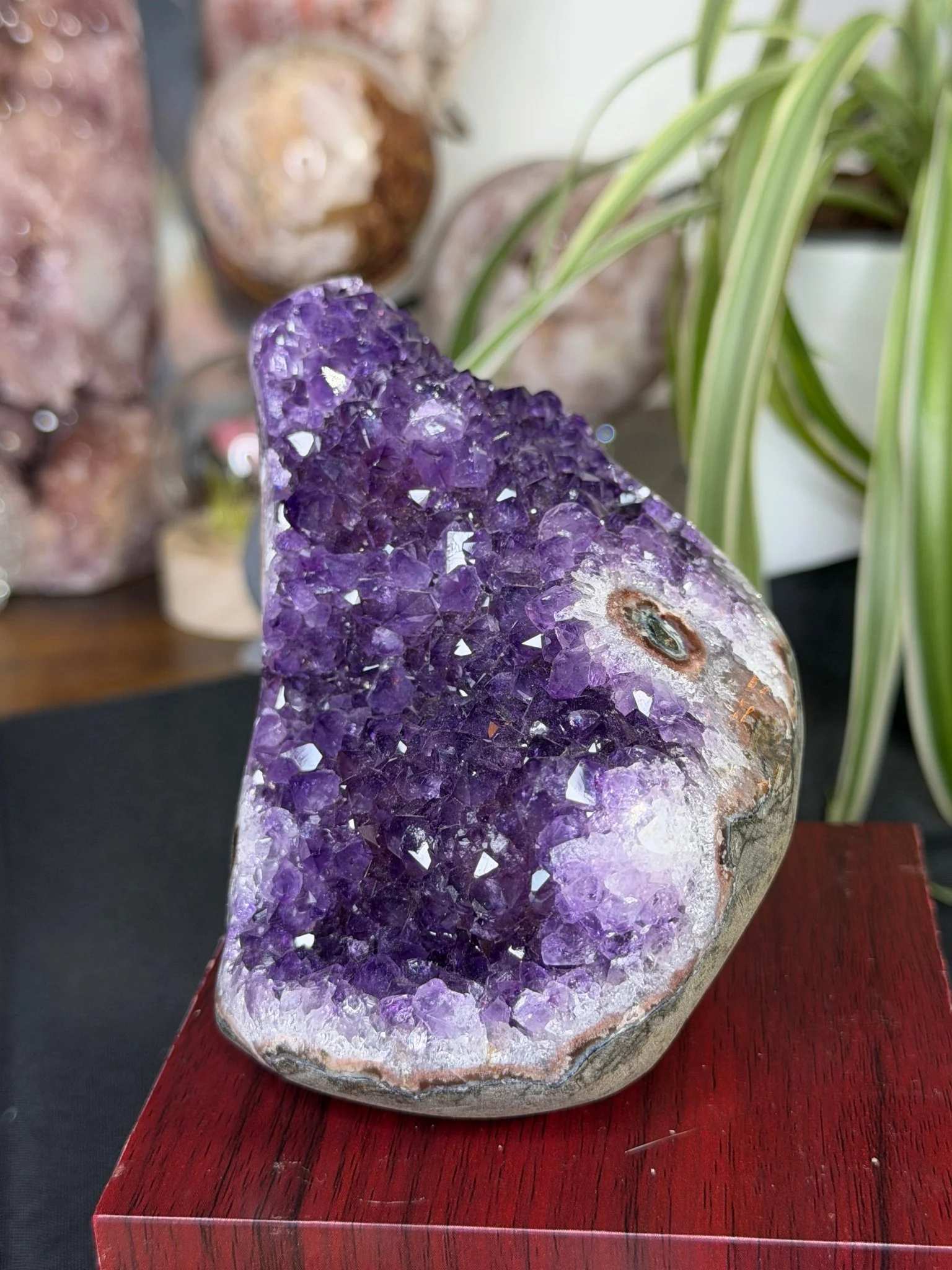 High Quality Amethyst | 704g