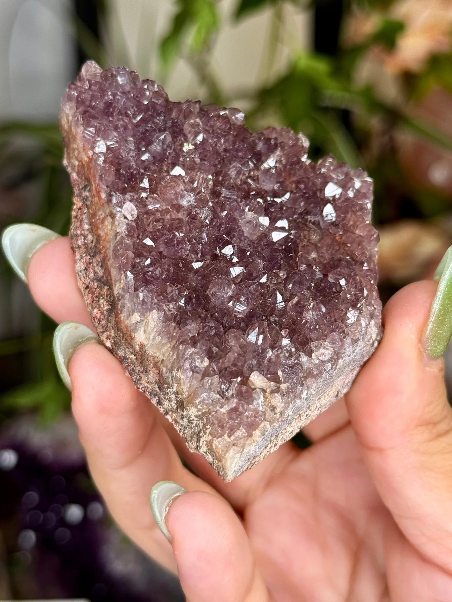 Alacam Amethyst Cluster | 108g