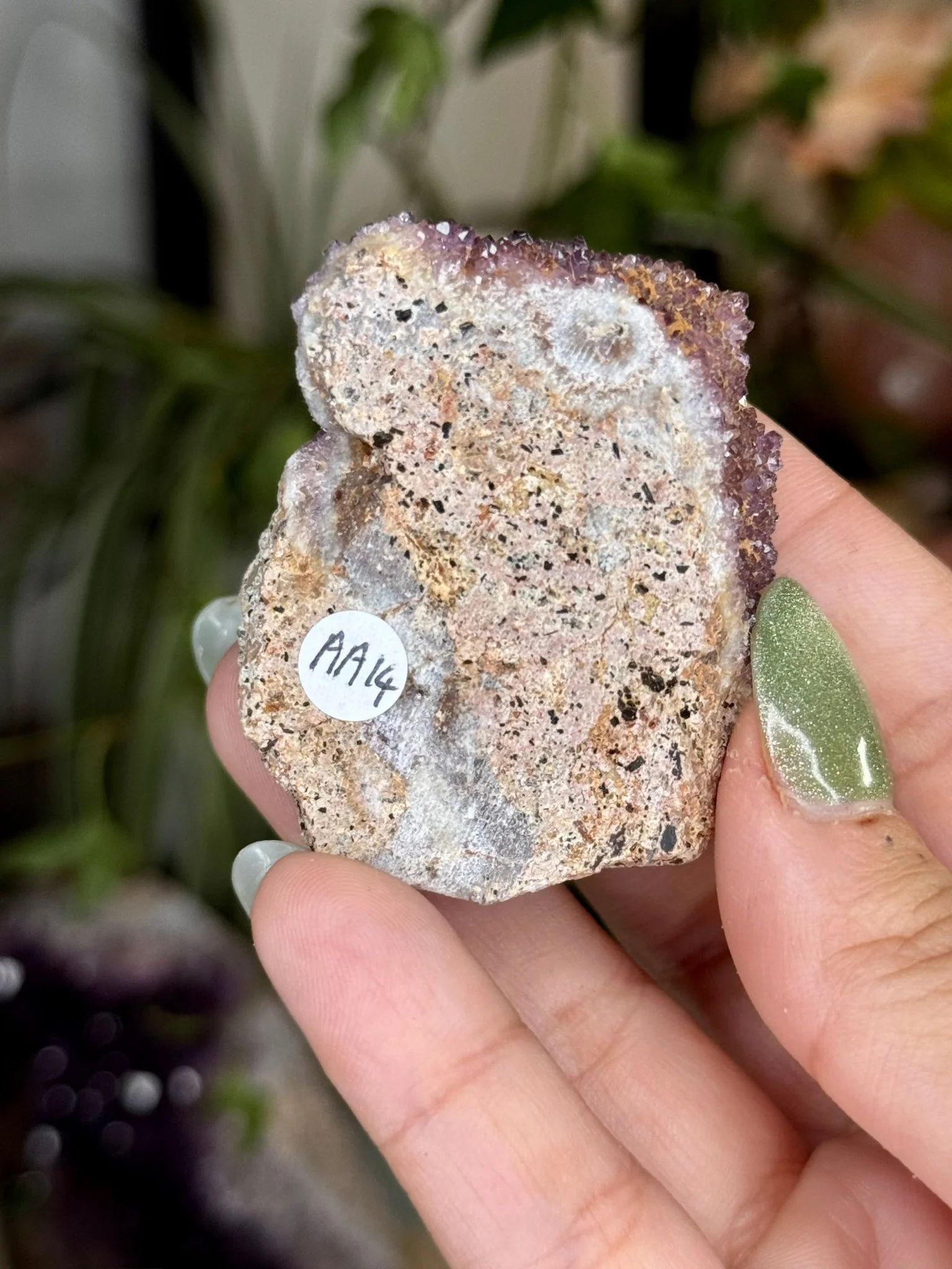 Alacam Amethyst Cluster | 50g