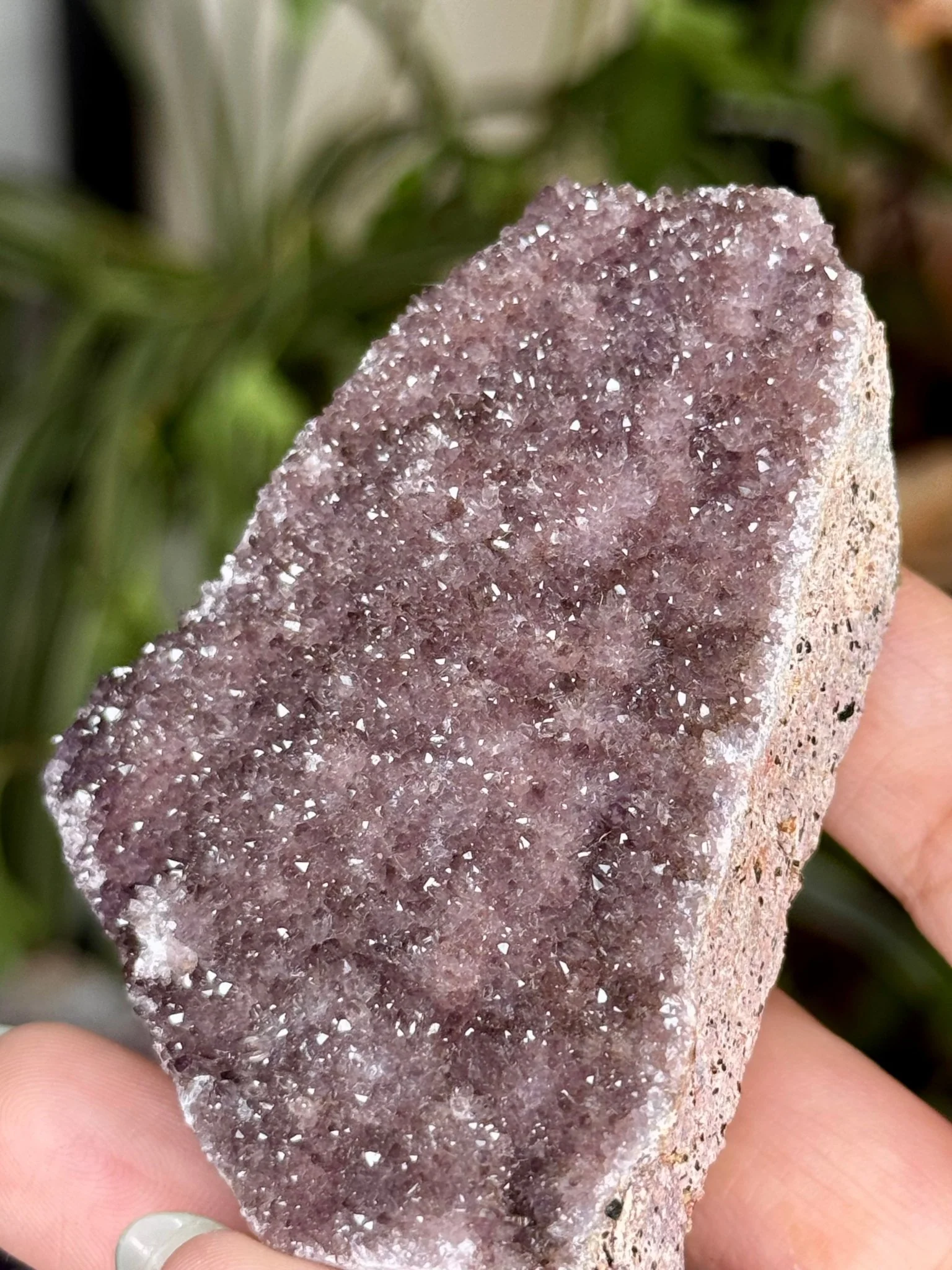 Alacam Amethyst Cluster | 87g