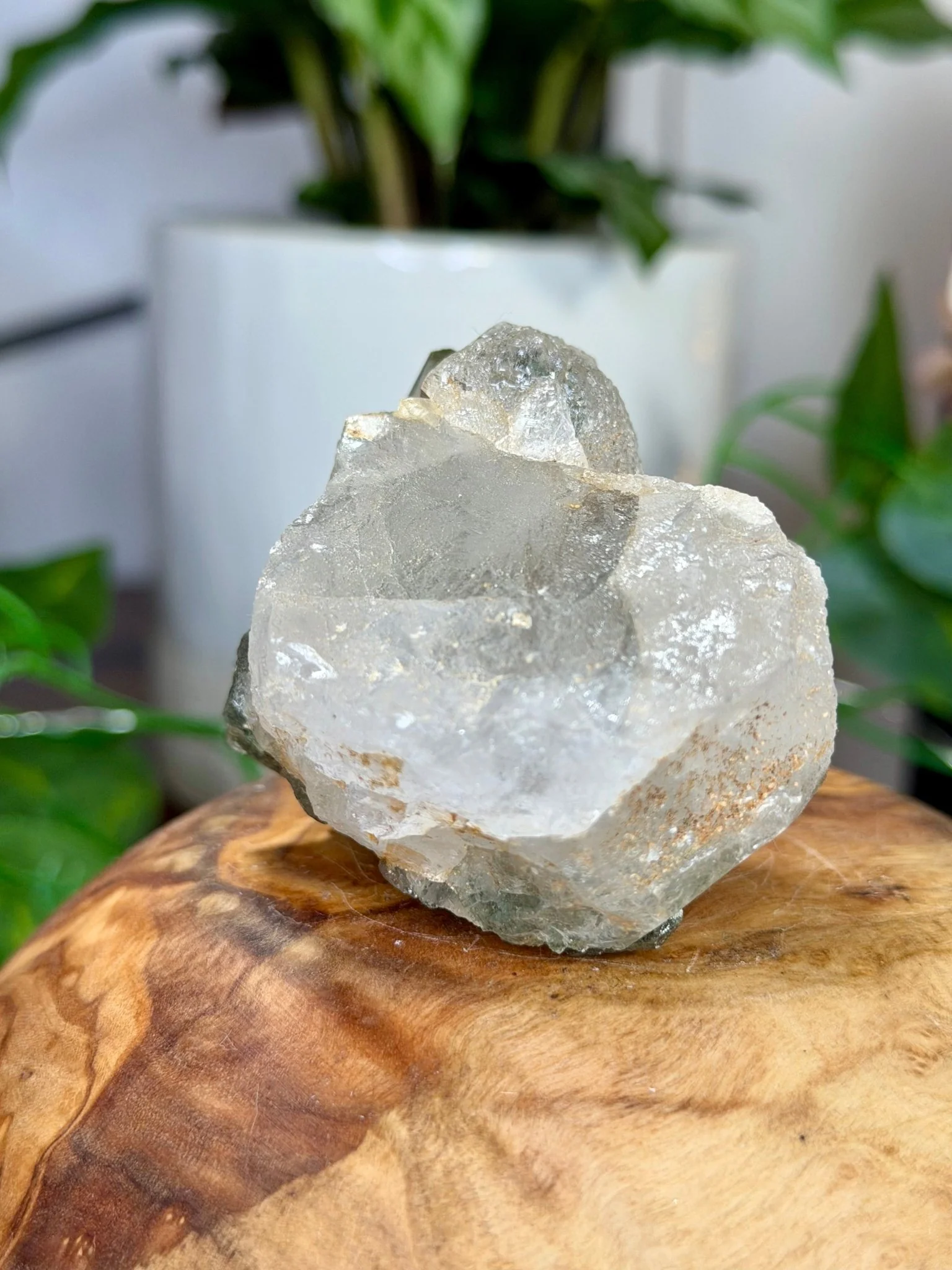 High Quality Himalayan Quartz with Chlorite  | 135g