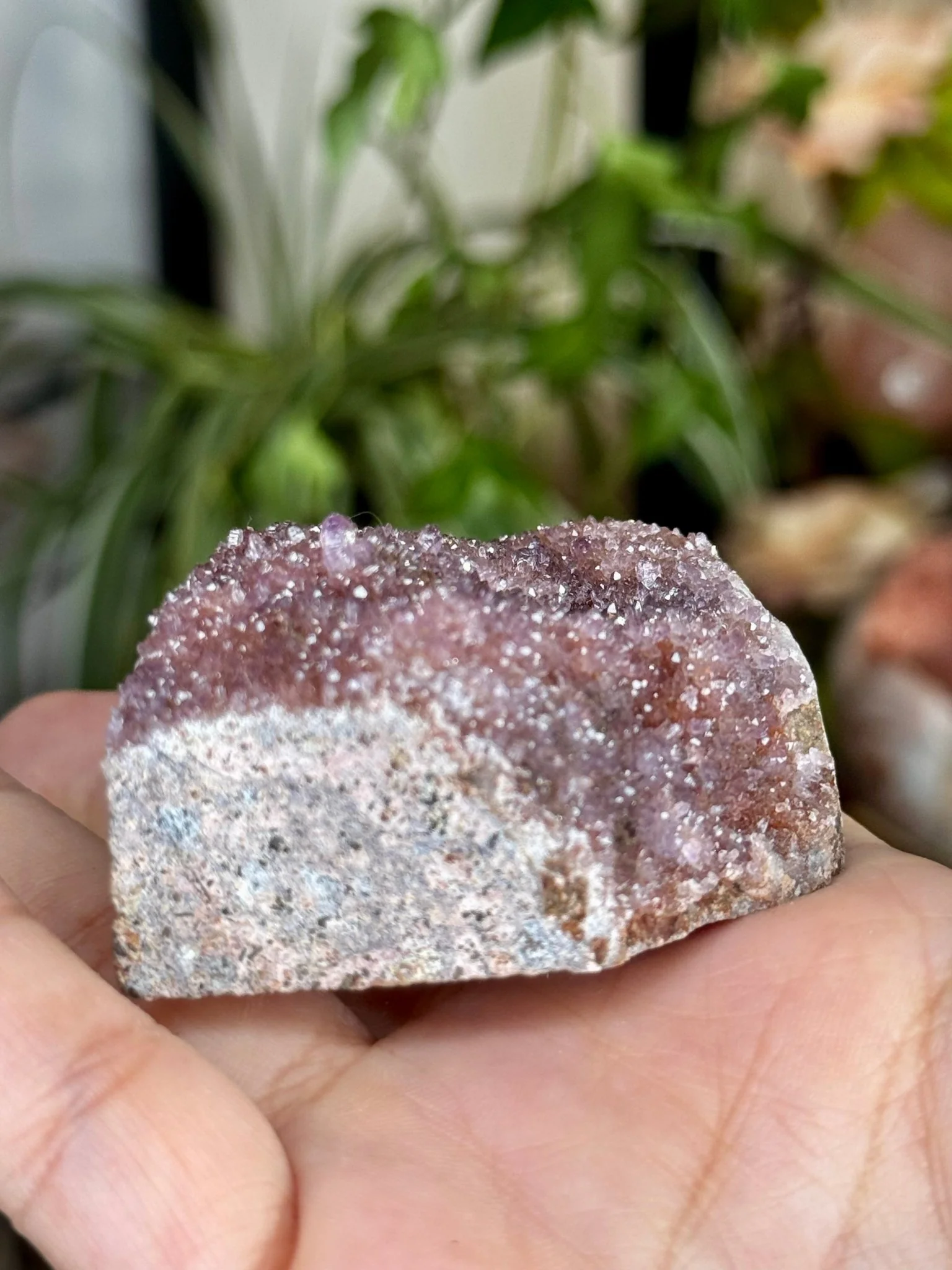 Alacam Amethyst Cluster | 100g