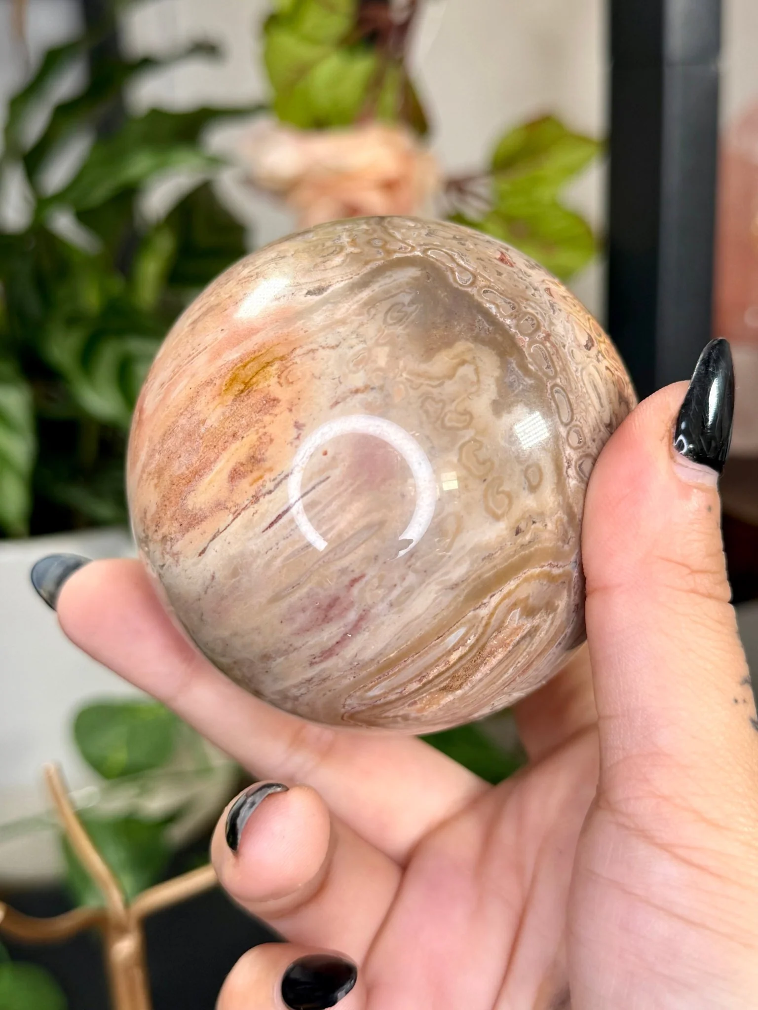 Petrified Wood Sphere | 478g