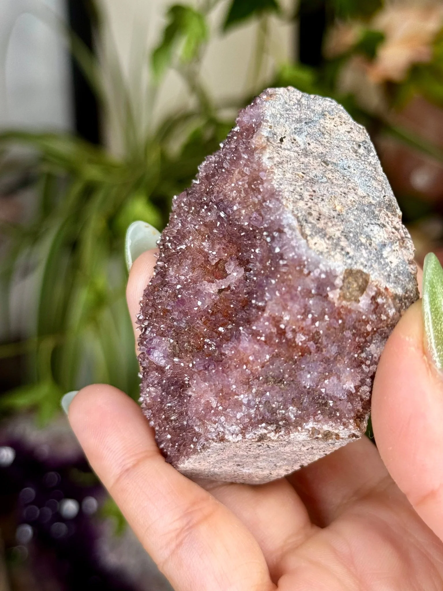 Alacam Amethyst Cluster | 100g