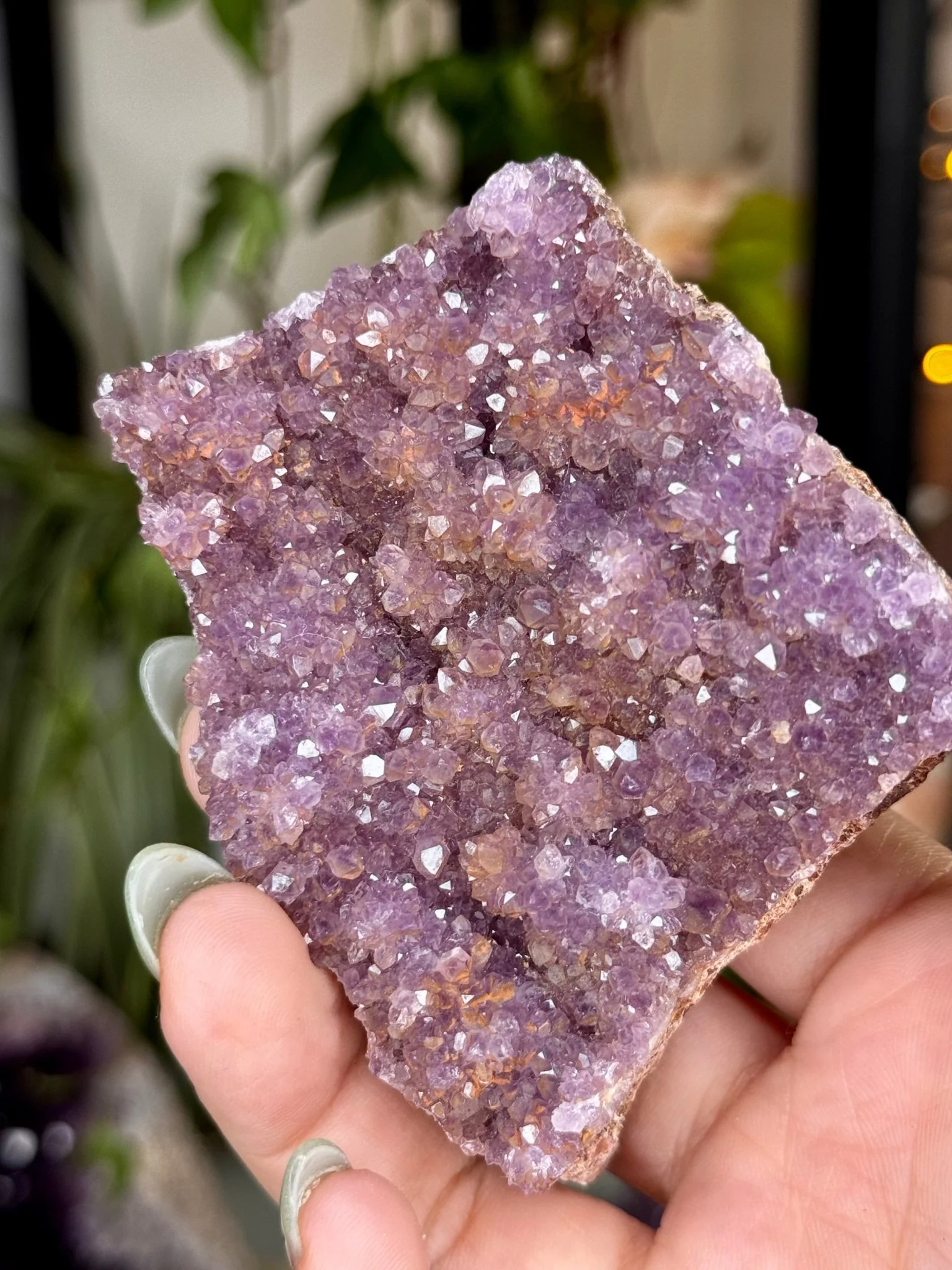Alacam Amethyst Cluster | 152g
