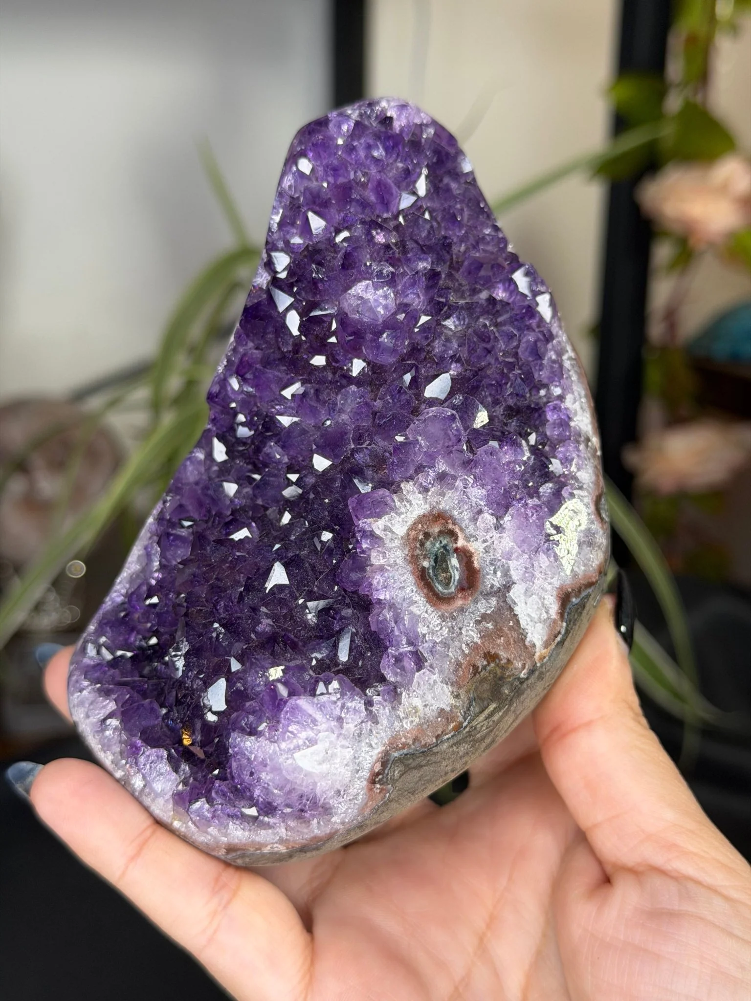 High Quality Amethyst | 704g