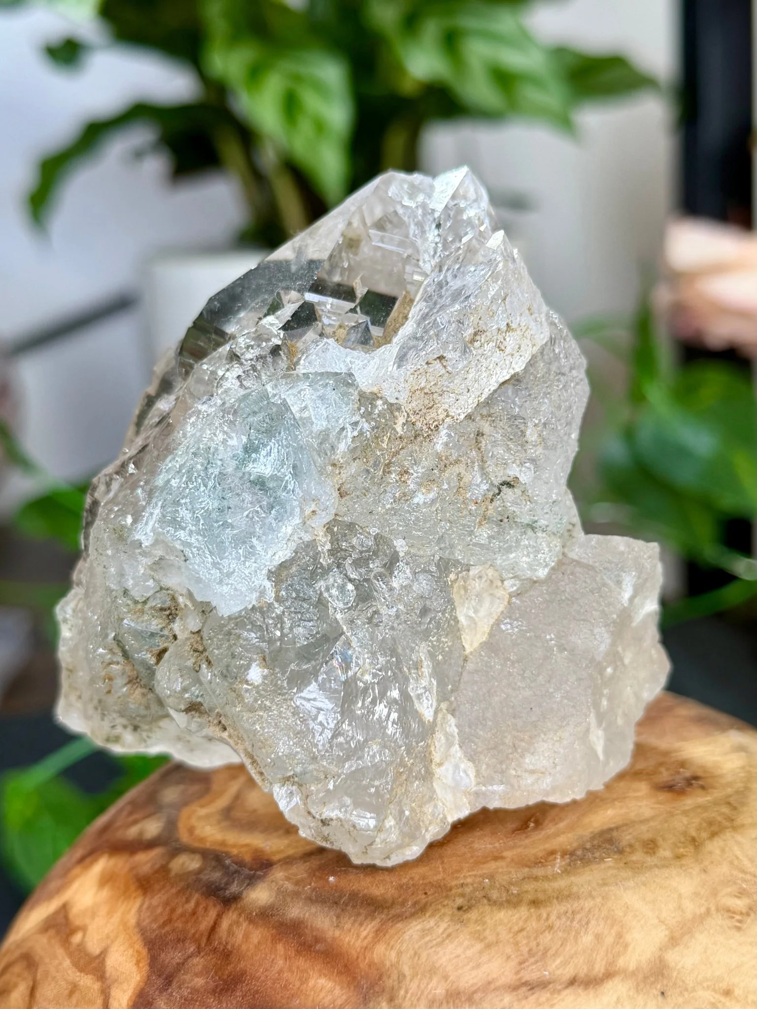 High Quality Himalayan Quartz with Chlorite | 292g