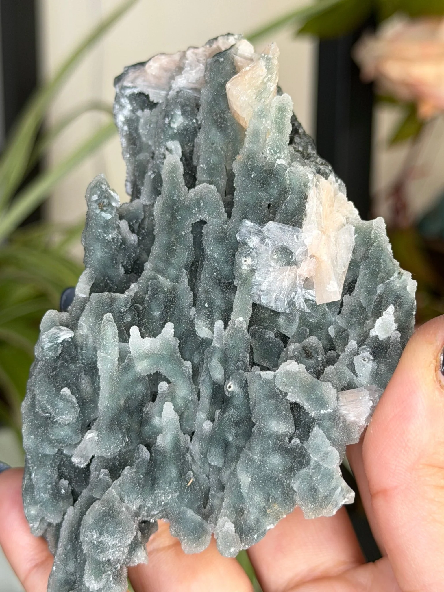 Chalcedony Apophyllite  | 126g