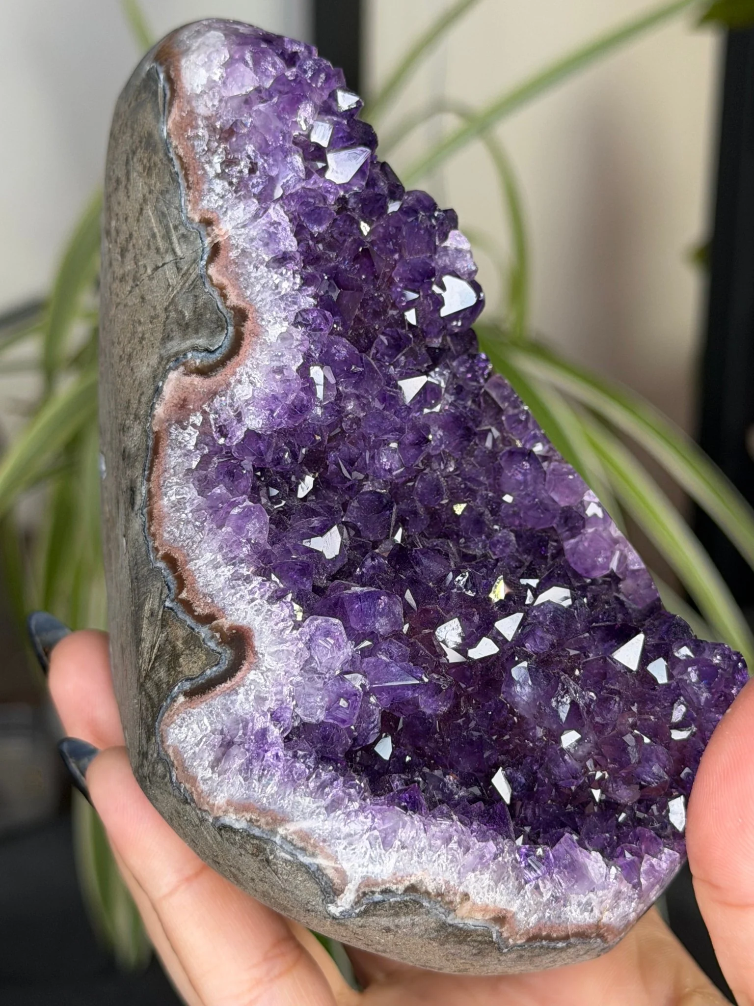 High Quality Amethyst | 704g