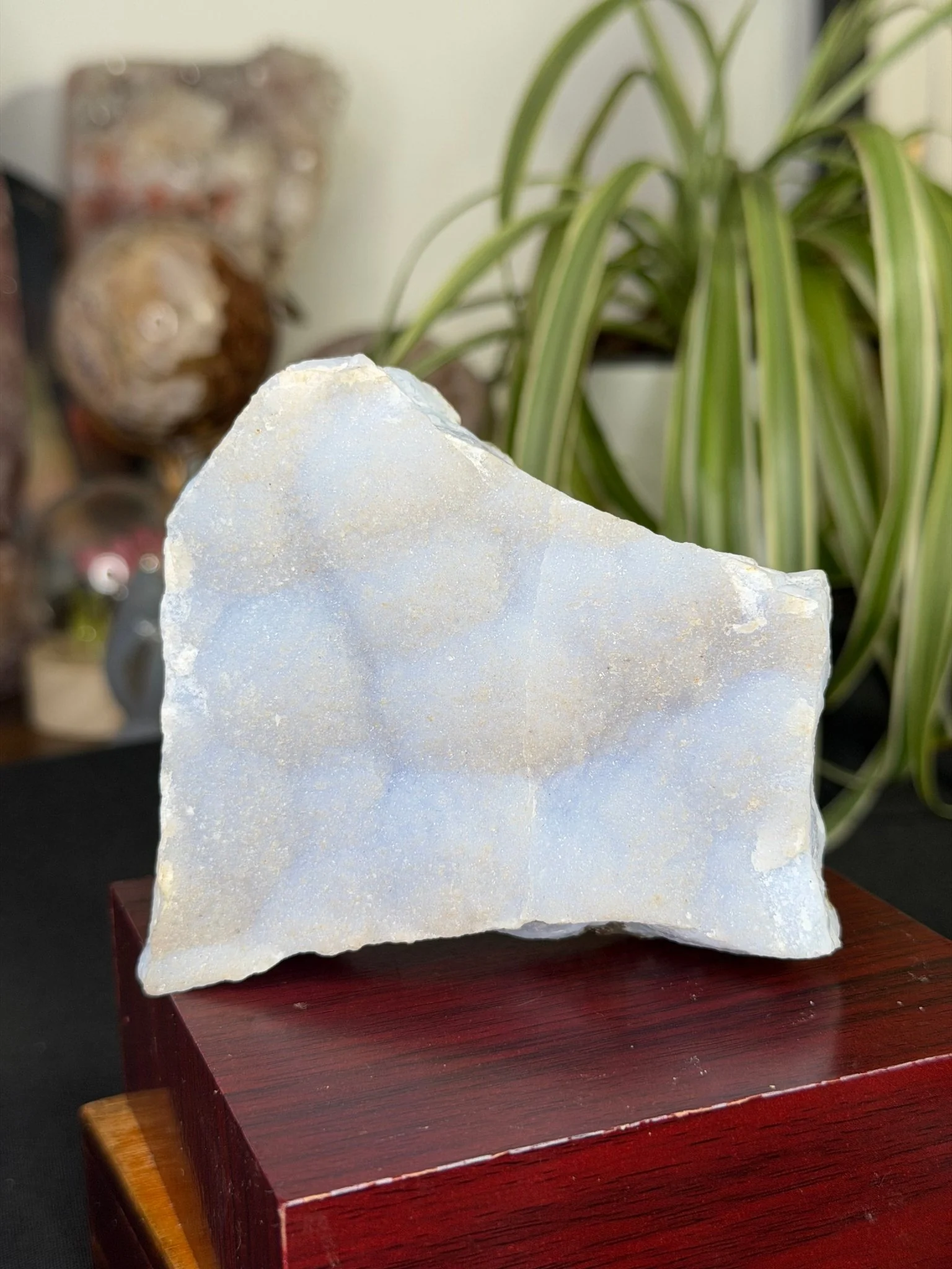 Blue Lace Specimen with Mica | 361g