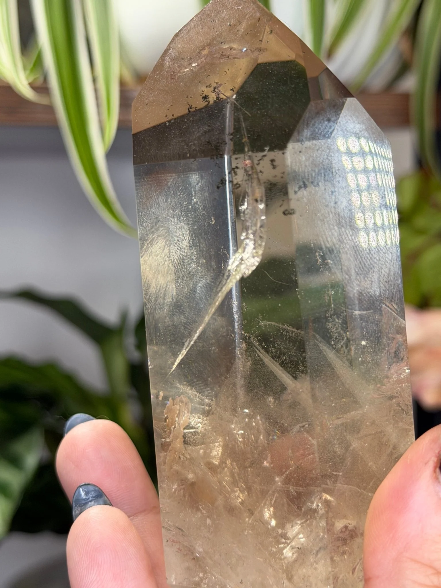 High Quality Natural Brazilian Champagne Citrine with Phanthon | 360g