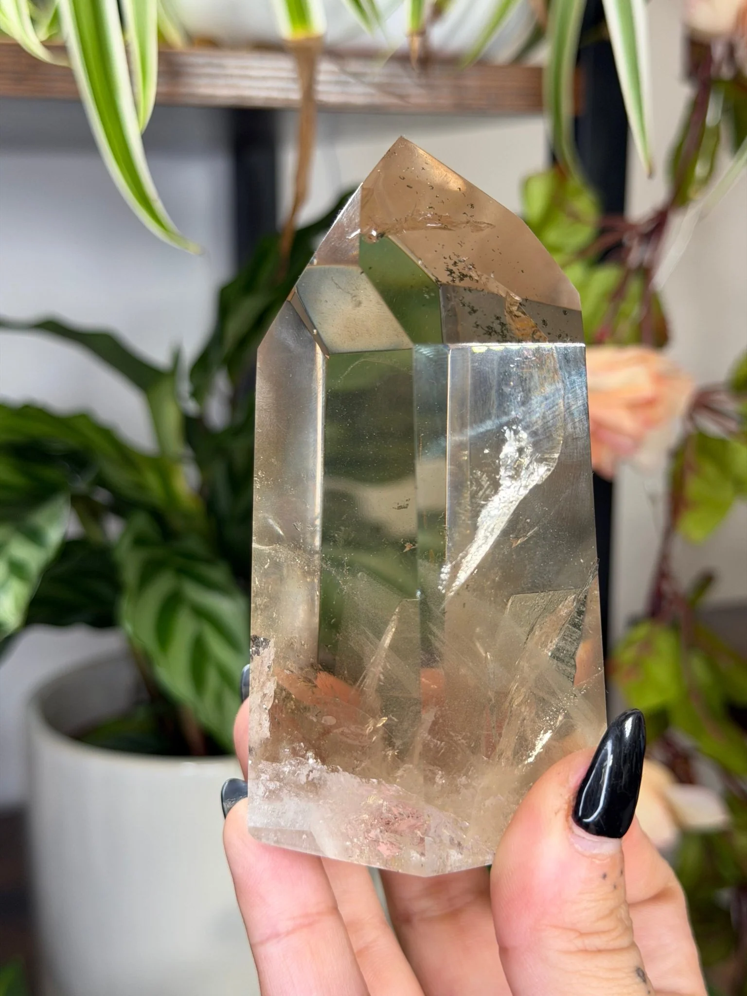 High Quality Natural Brazilian Champagne Citrine with Phanthon | 360g