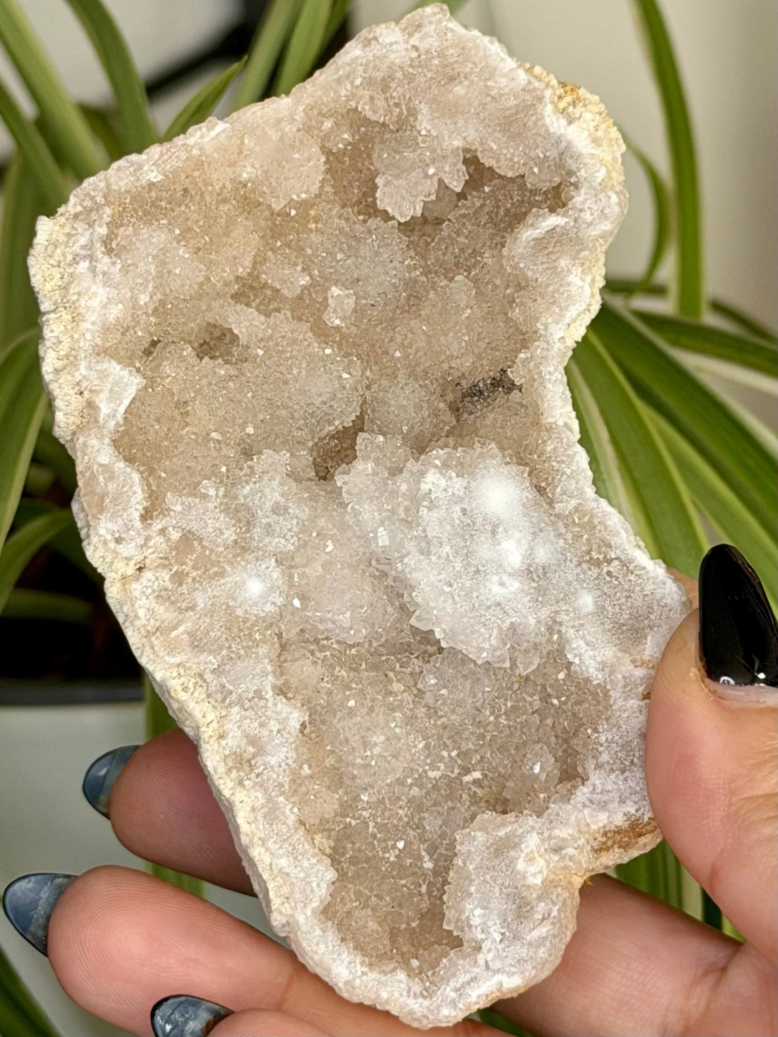 Quartz Geode | 144g
