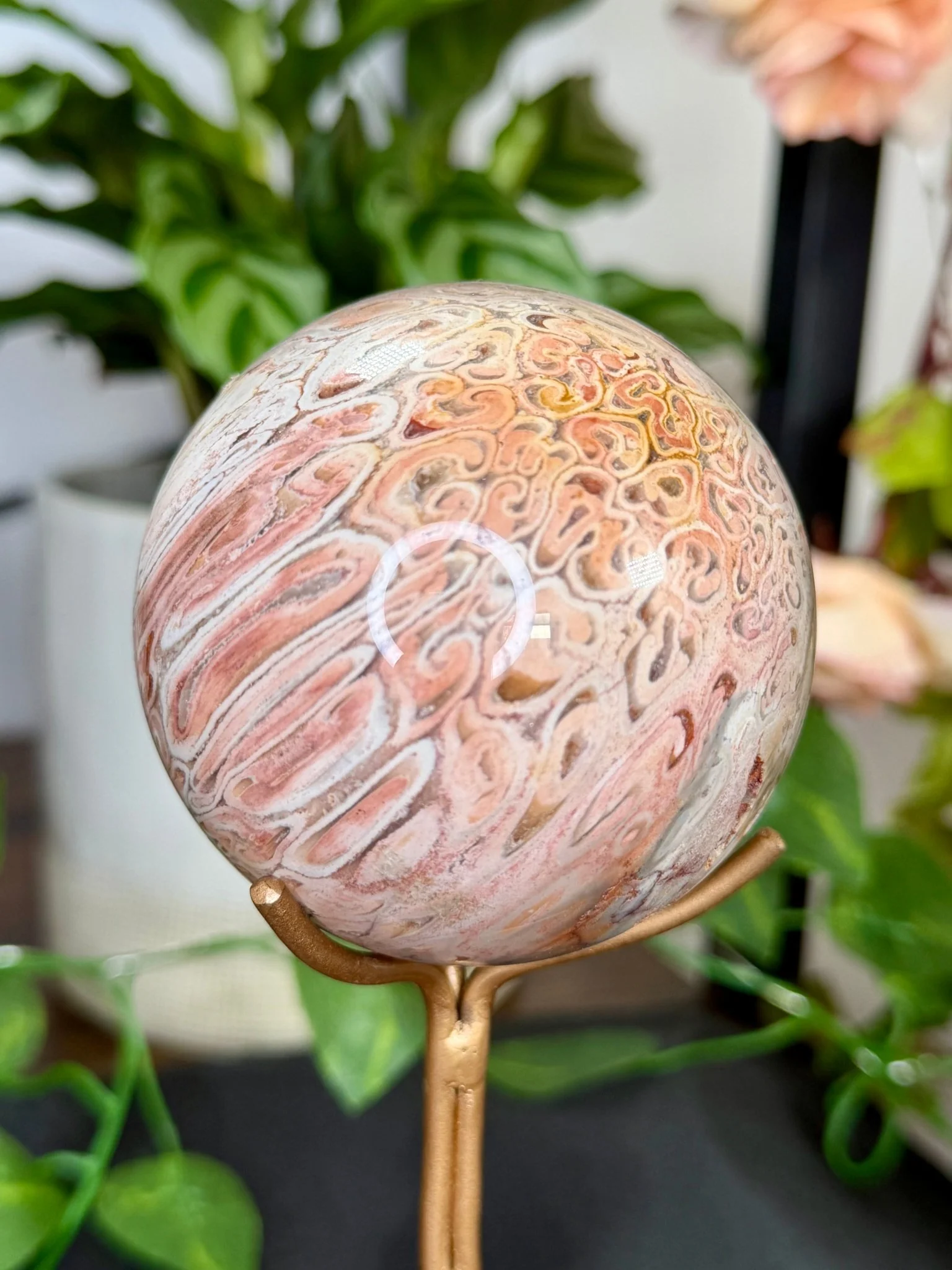 Petrified Wood Sphere | 478g