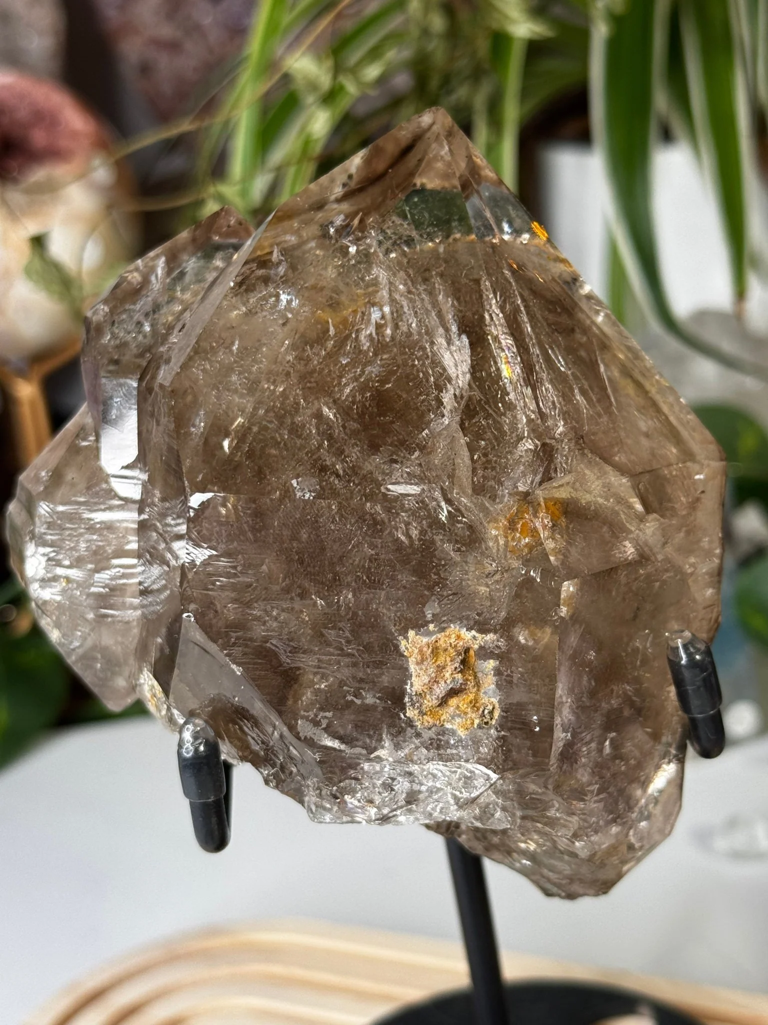 Statment Piece ~ Elestial Smokey Quartz | 575g