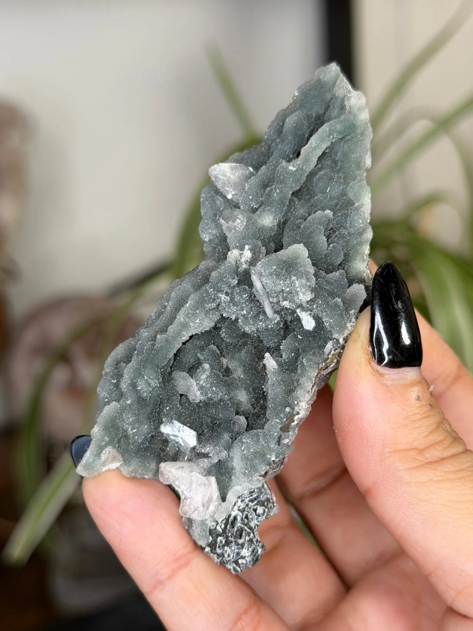 Chalcedony Apophyllite | 42g
