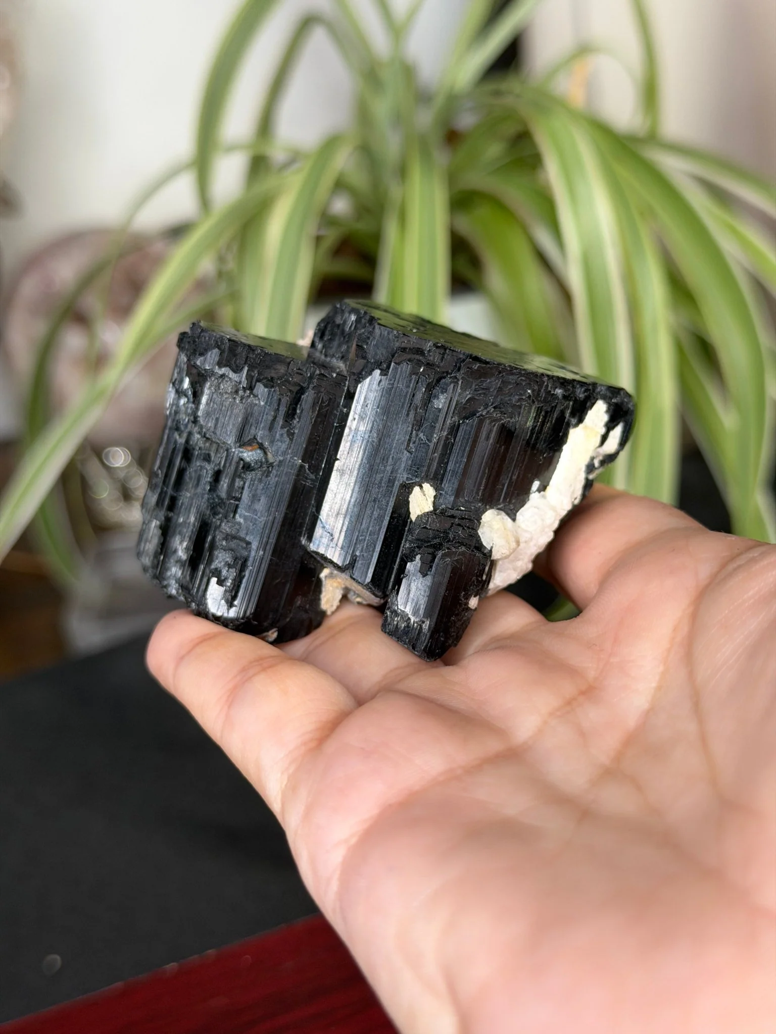 Record Keeper Tourmaline| 165g